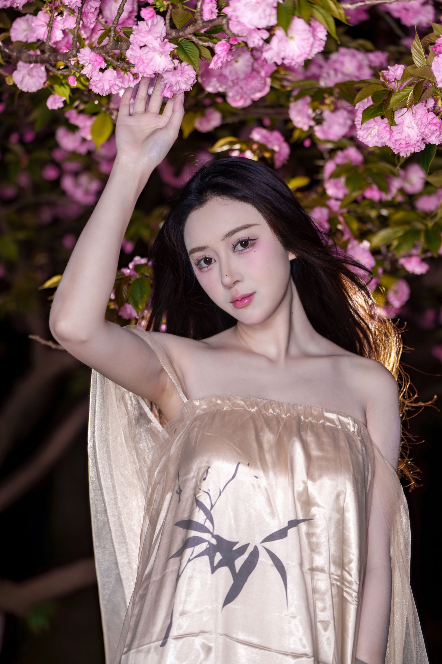 《夜海棠》[15P]