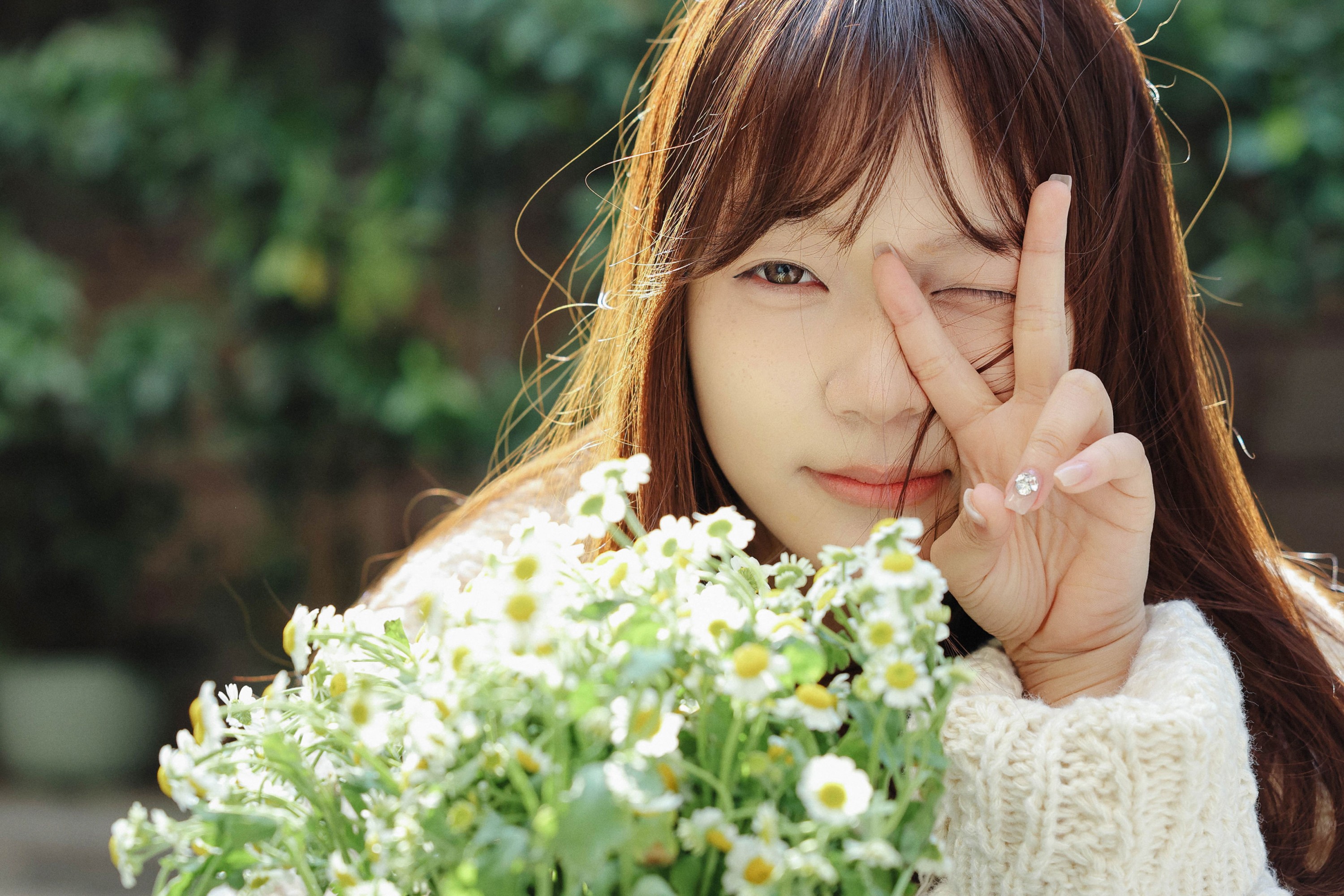 《雏菊少女》[24P]