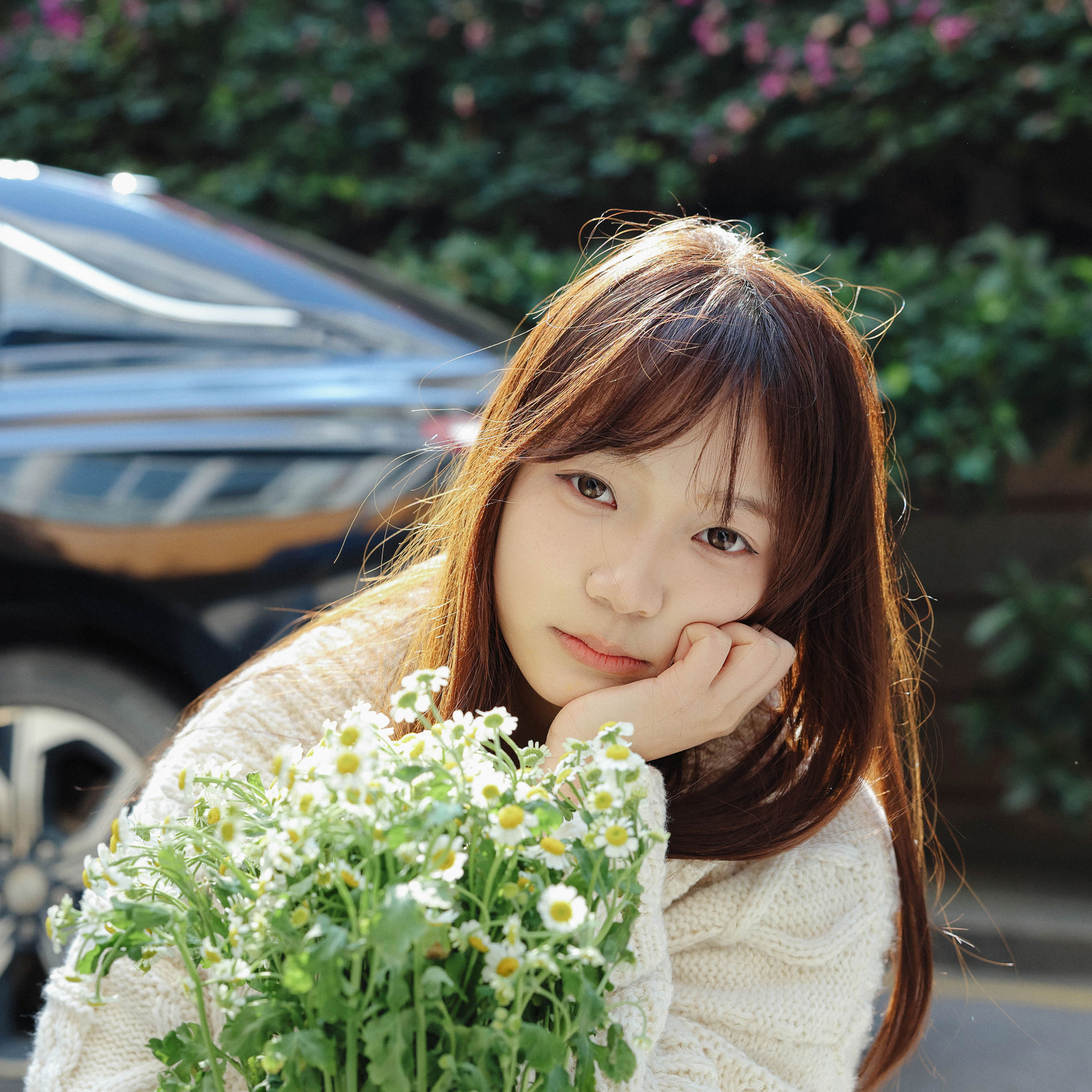 《雏菊少女》[24P]