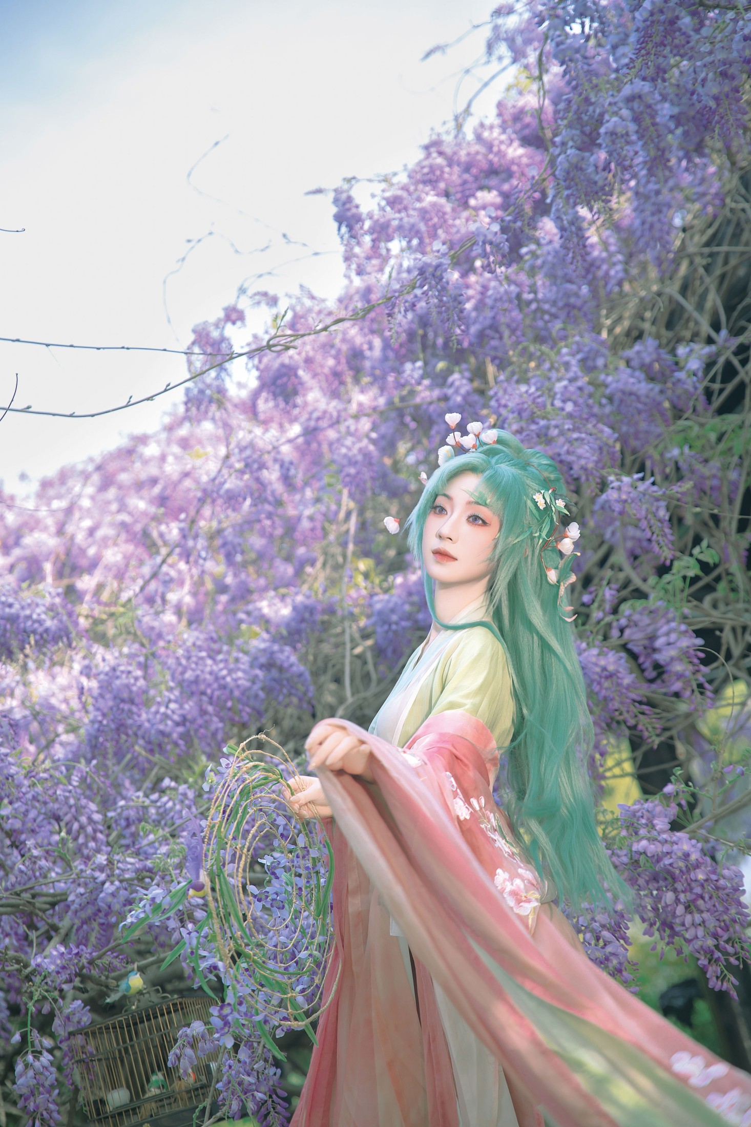 《紫藤·春神》[18P]