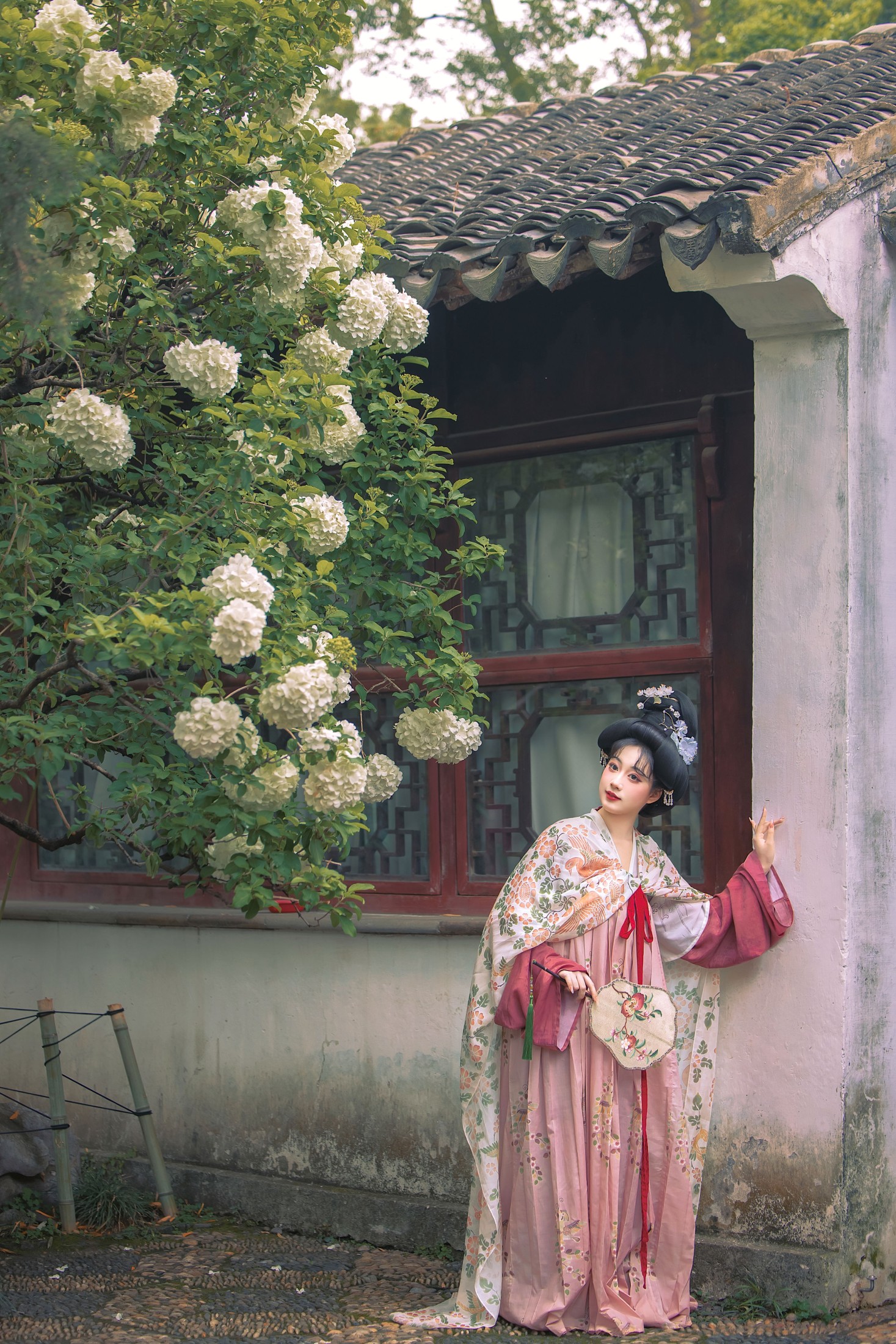 《唐复原·木绣球》[11P]