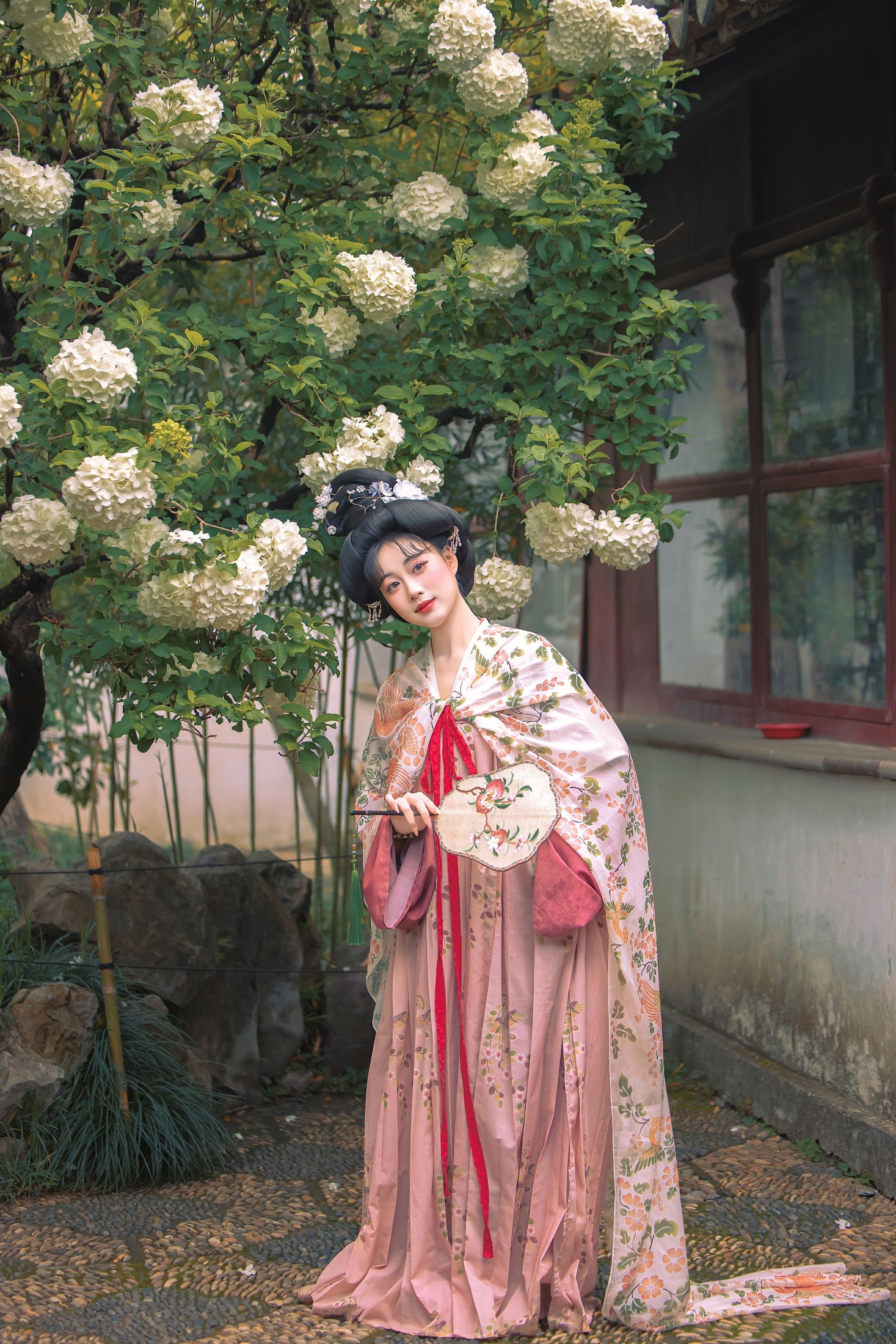《唐复原·木绣球》[11P]