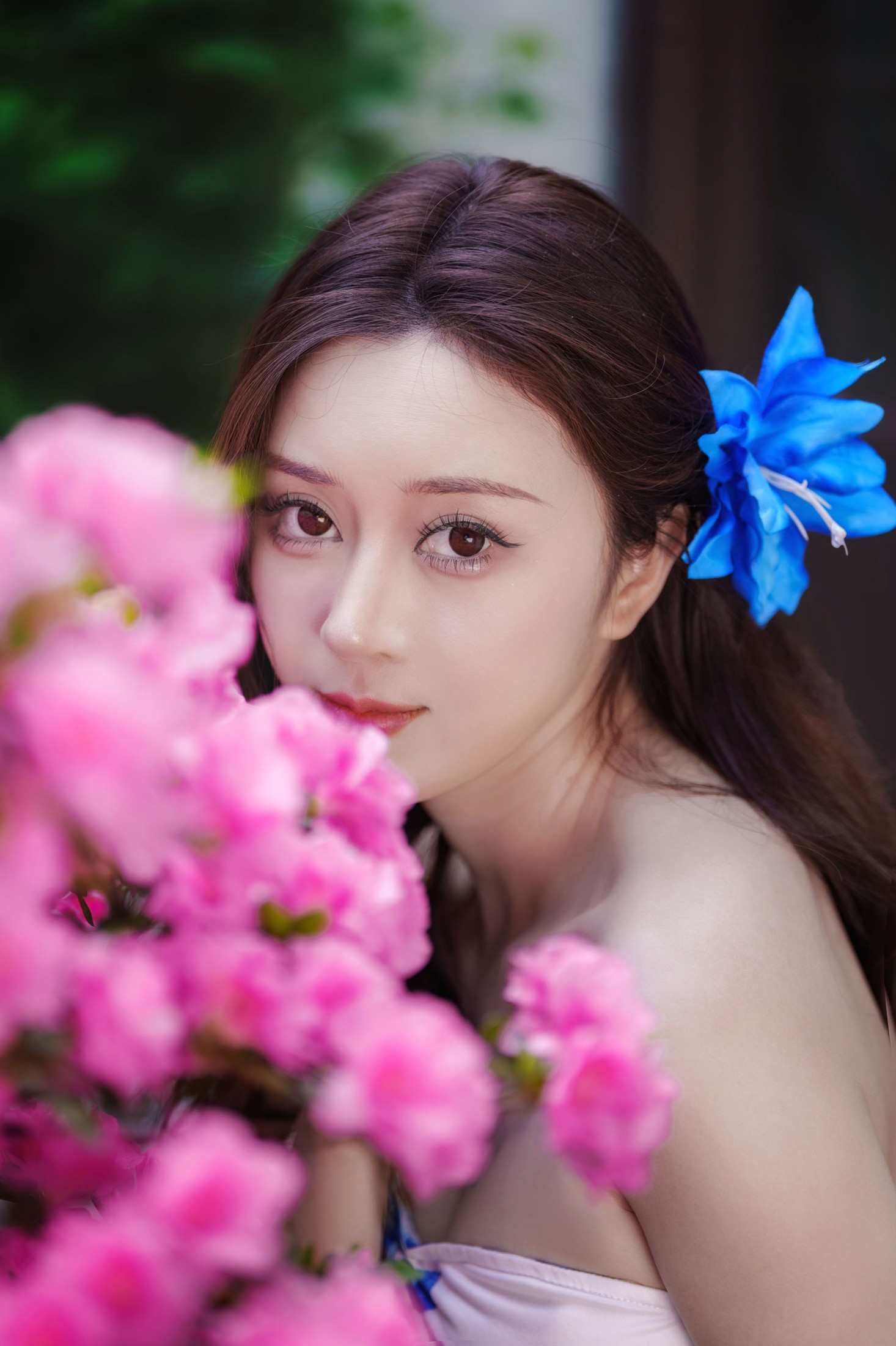 《青花瓷》[19P]