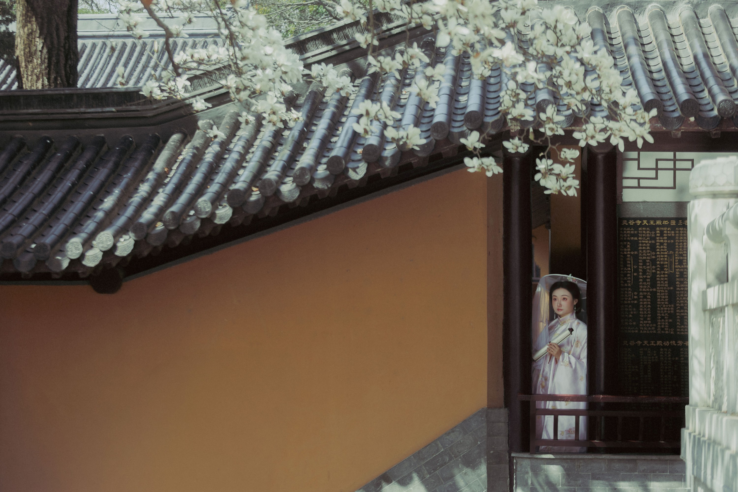 《玉瓣飘香》[42P]
