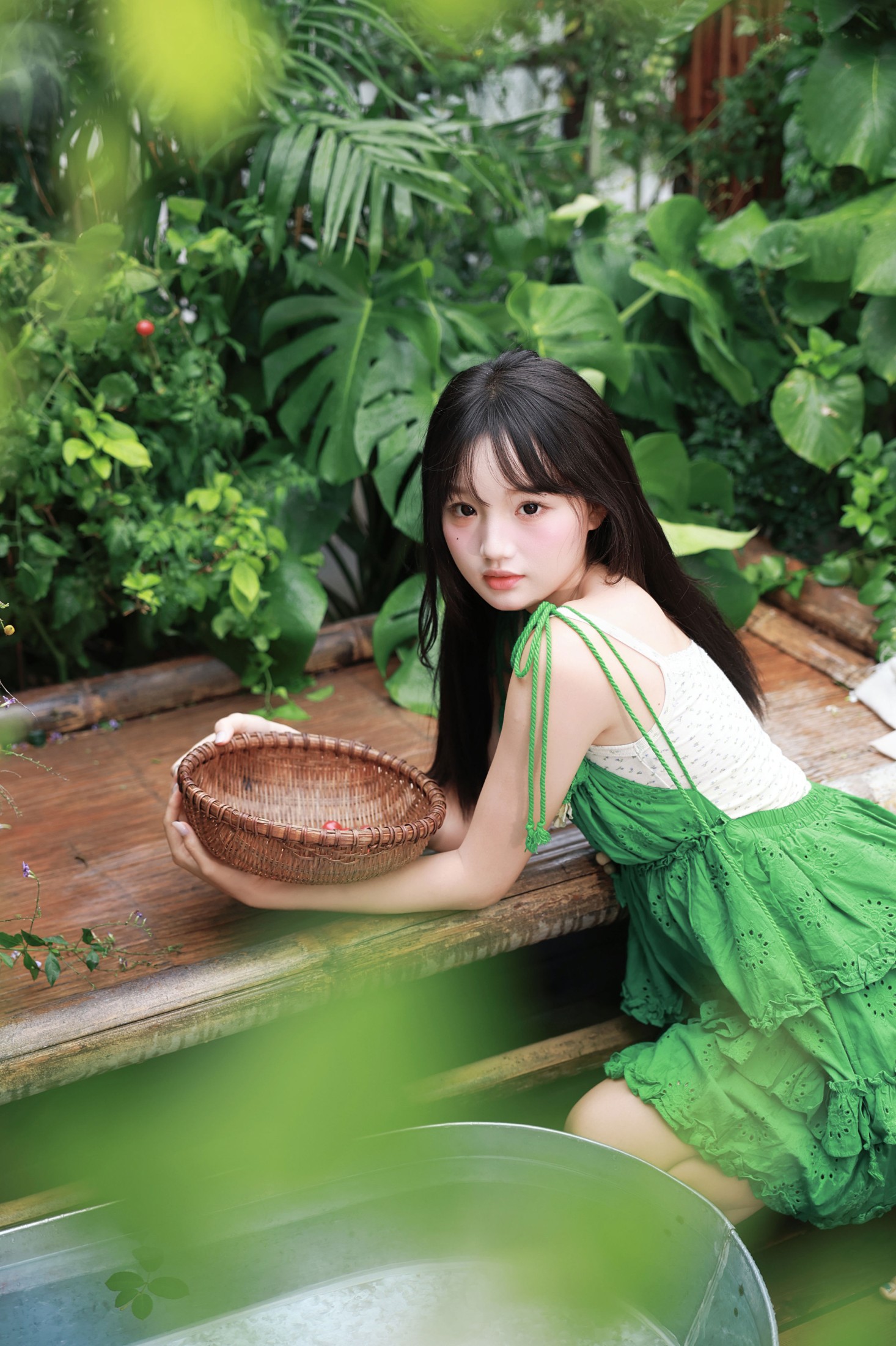 《绣球花与绿裙子的浪漫》[16P]
