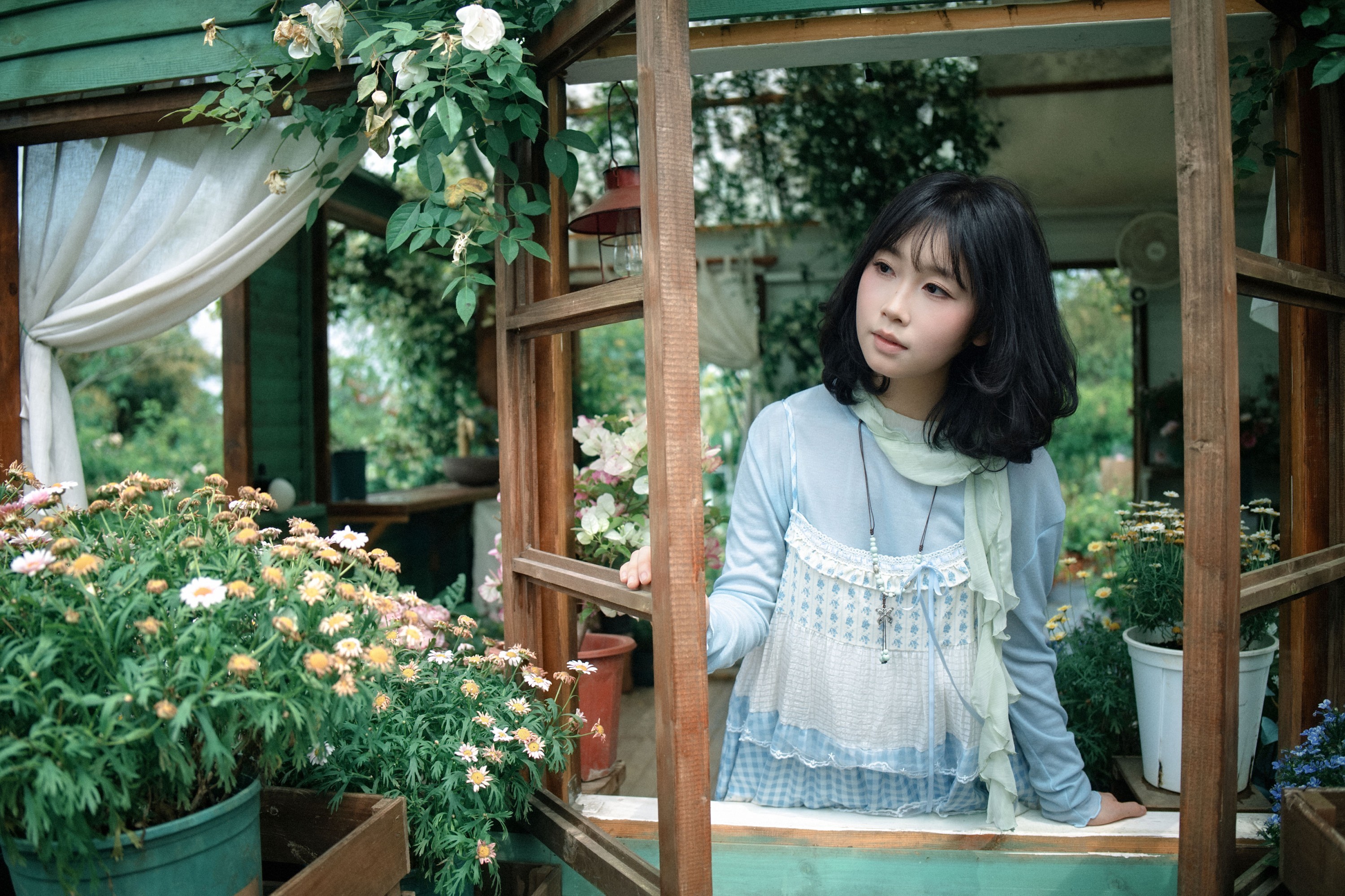 《经过一个花园》[35P]