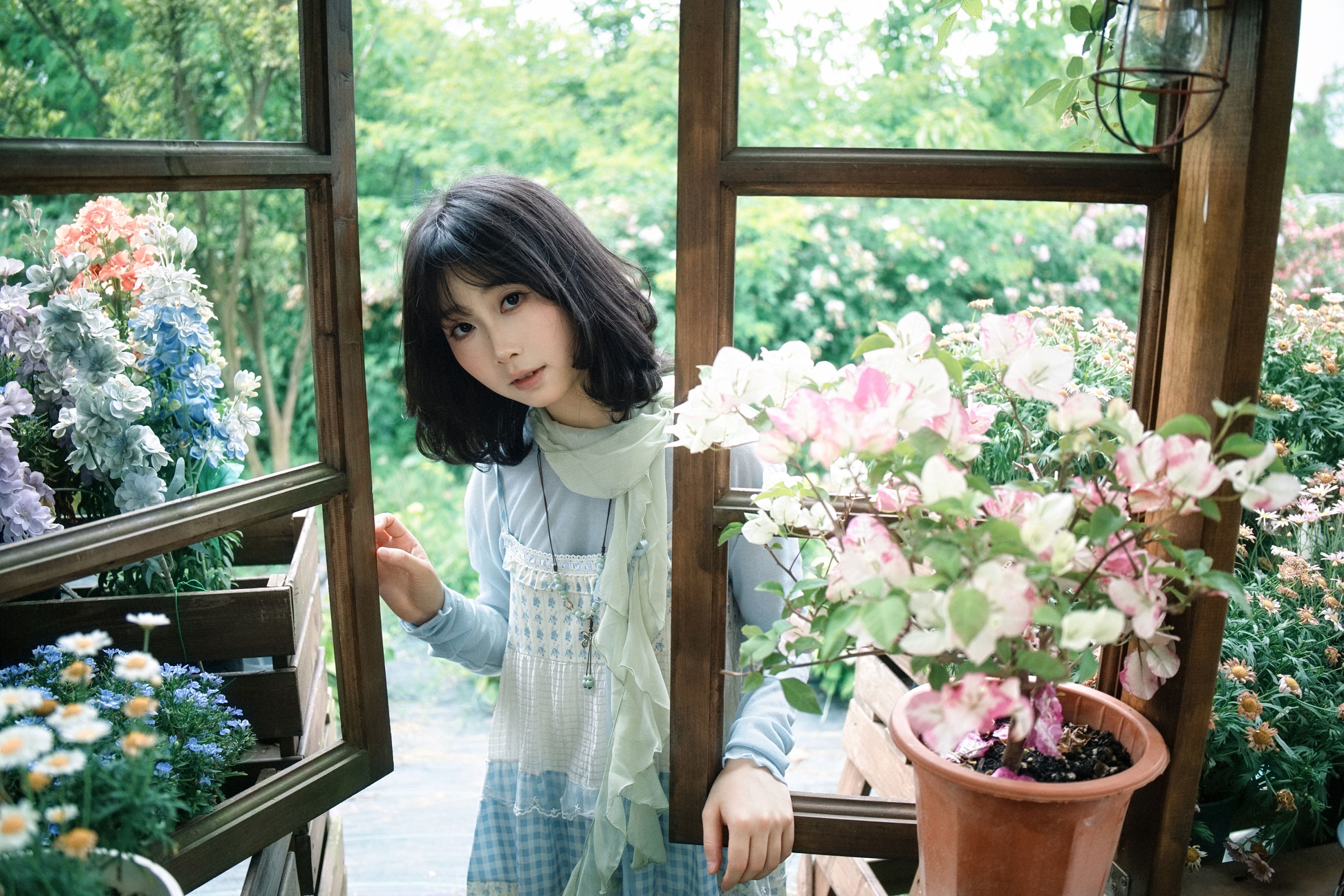 《经过一个花园》[35P]