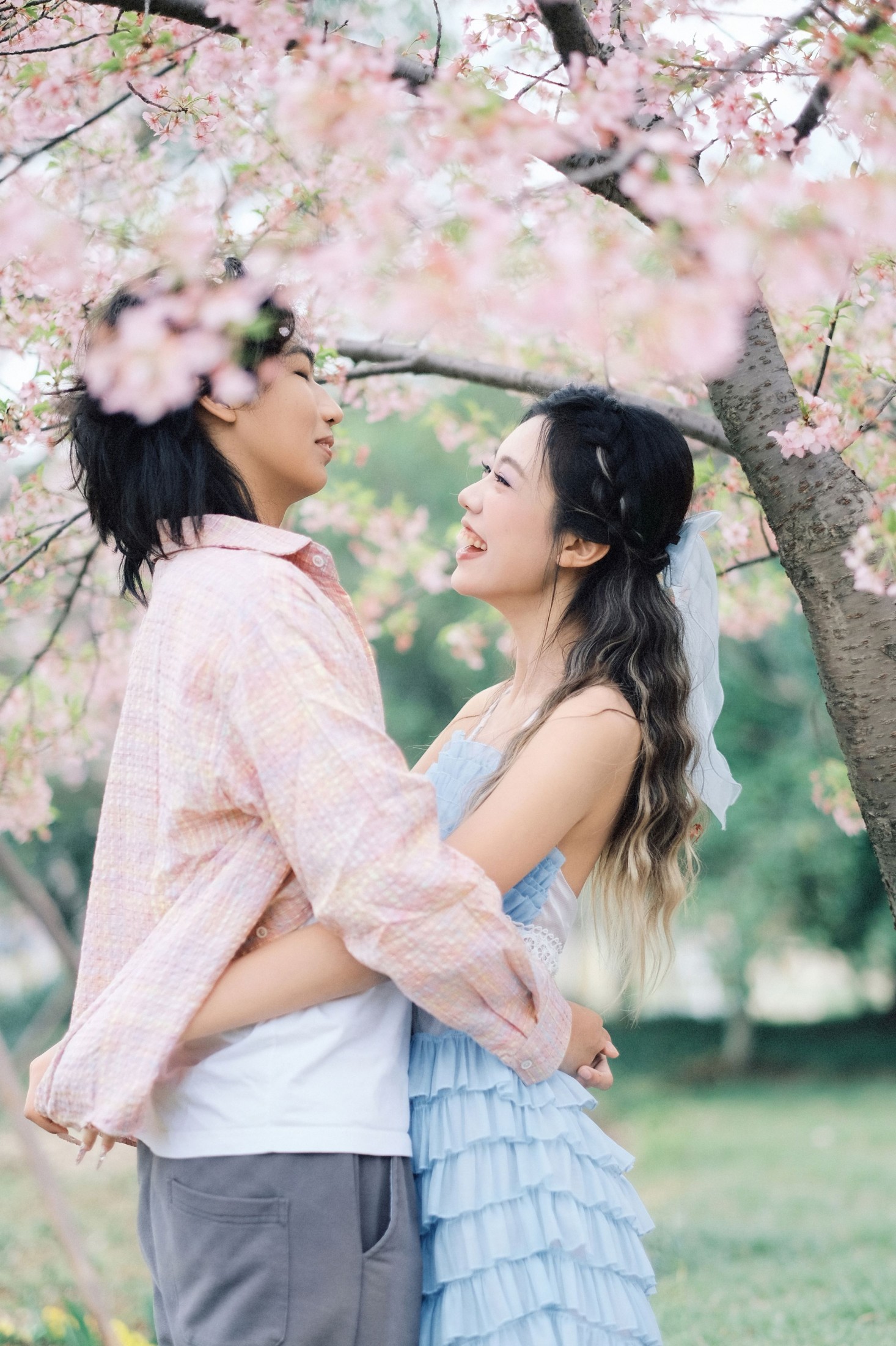 《就在樱花树下见面吧》[19P]