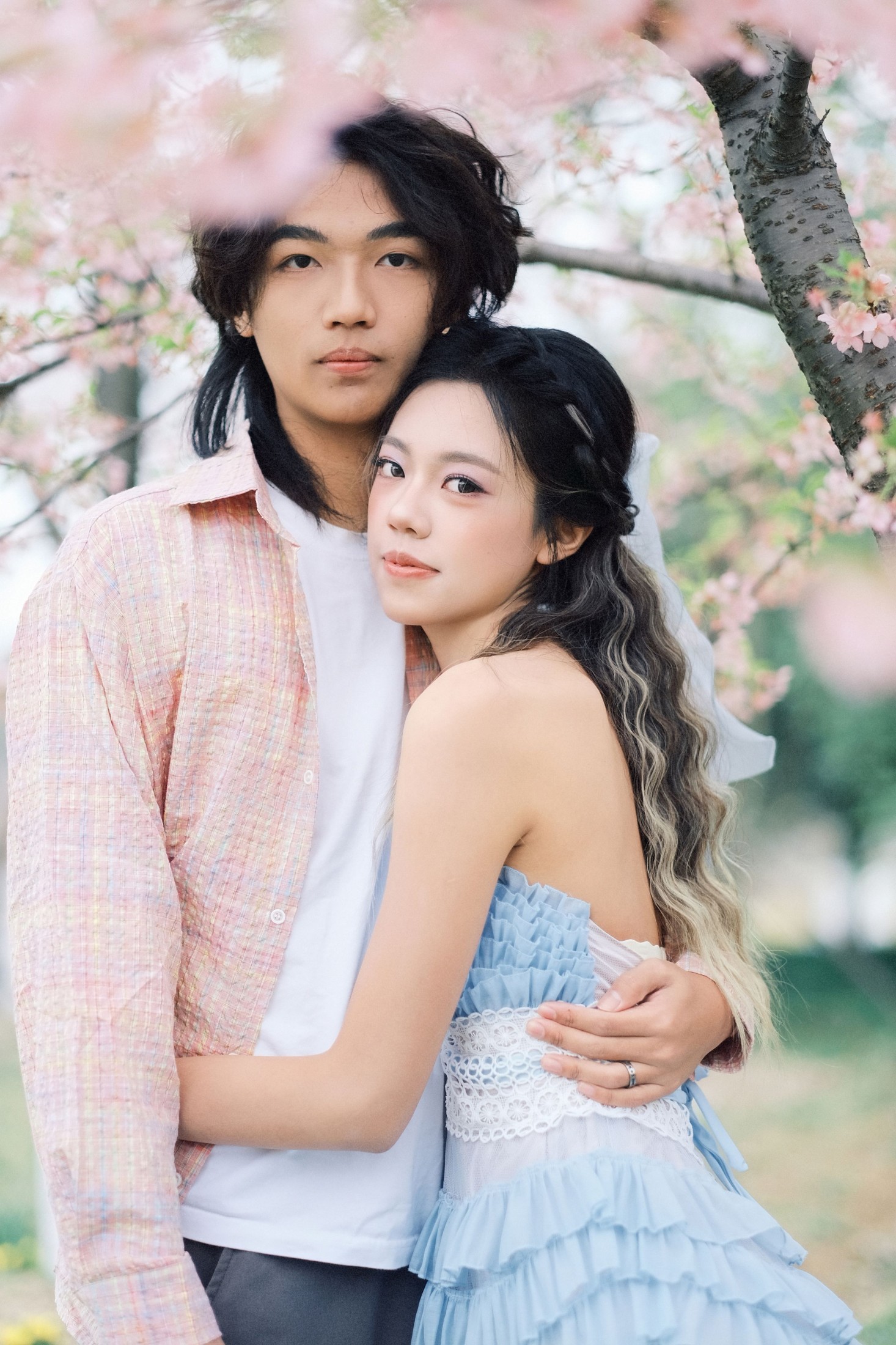 《就在樱花树下见面吧》[19P]