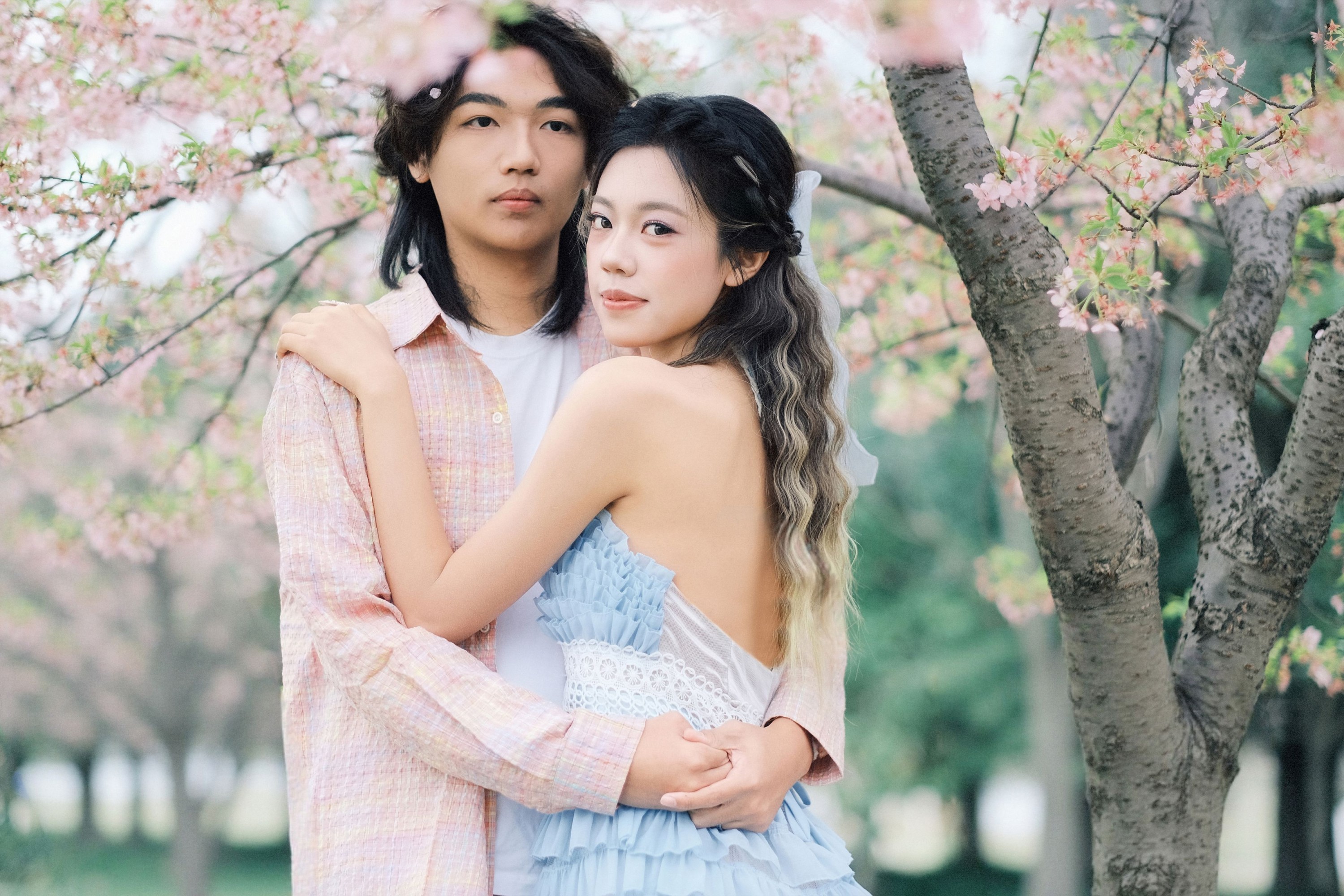 《就在樱花树下见面吧》[19P]
