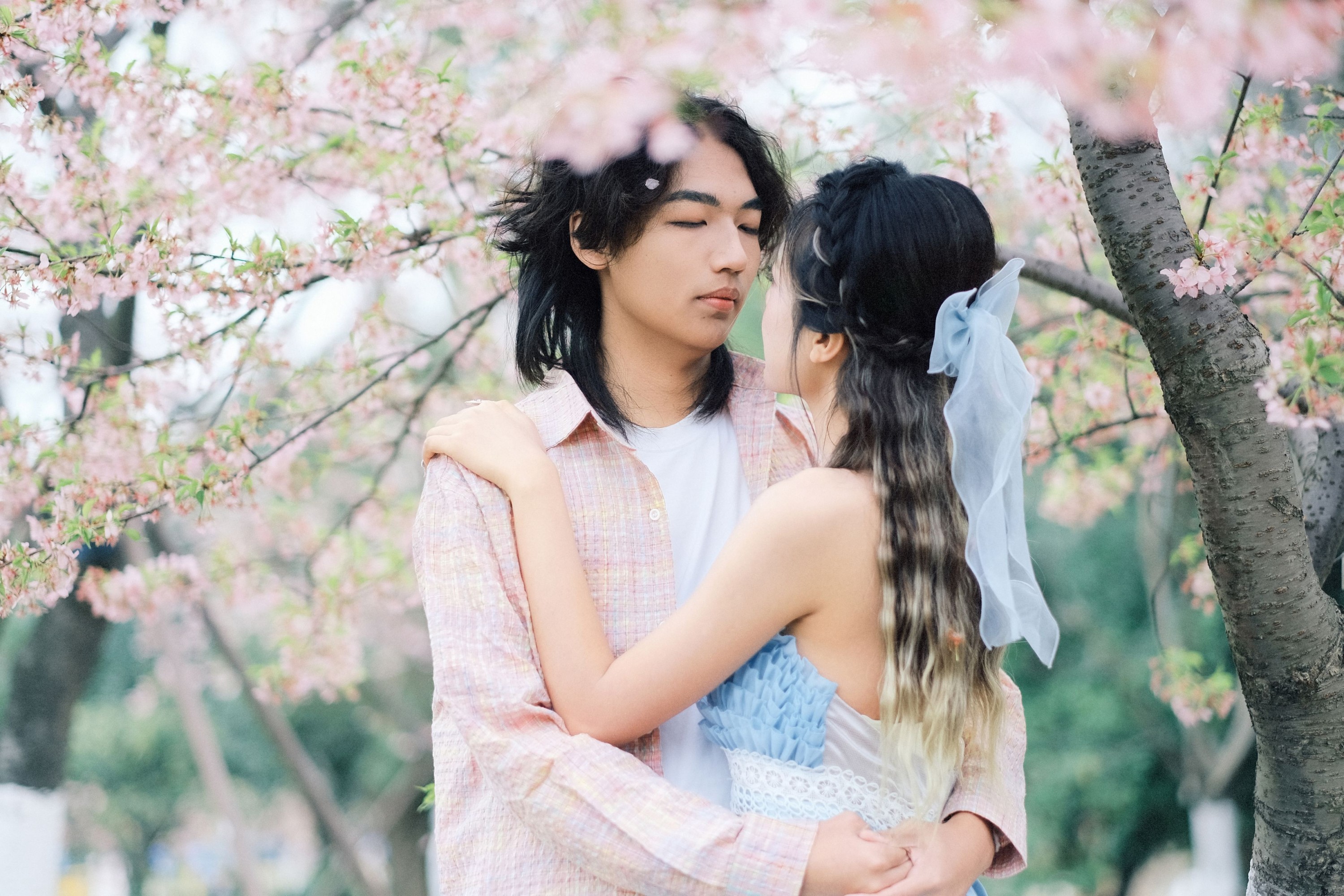 《就在樱花树下见面吧》[19P]