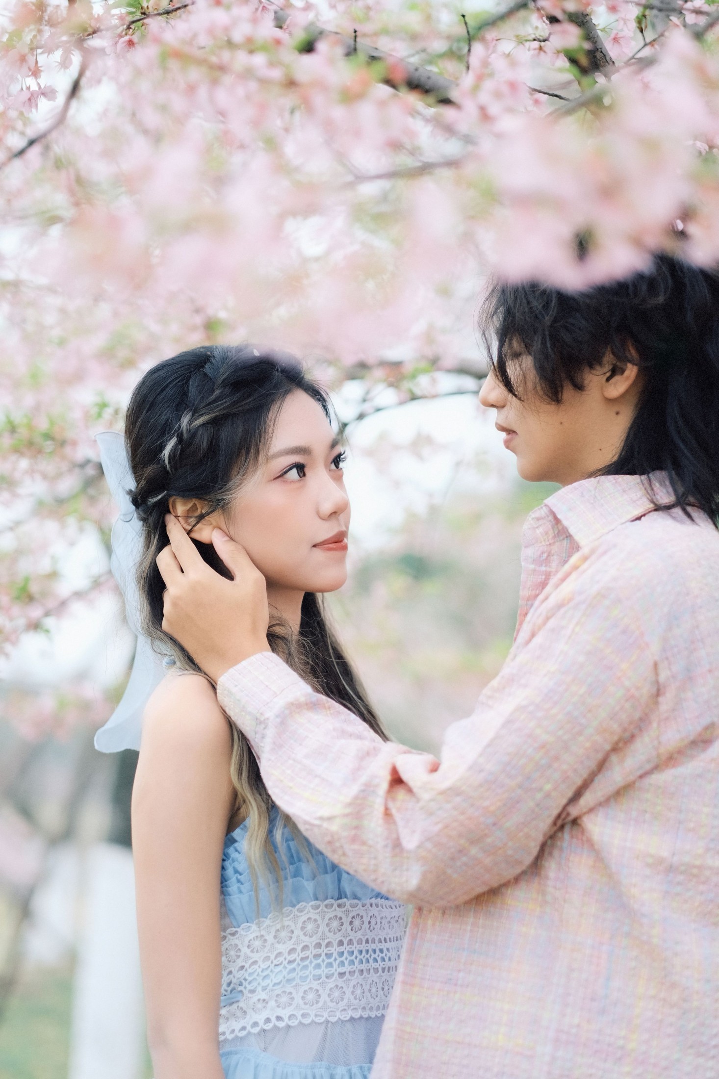 《就在樱花树下见面吧》[19P]