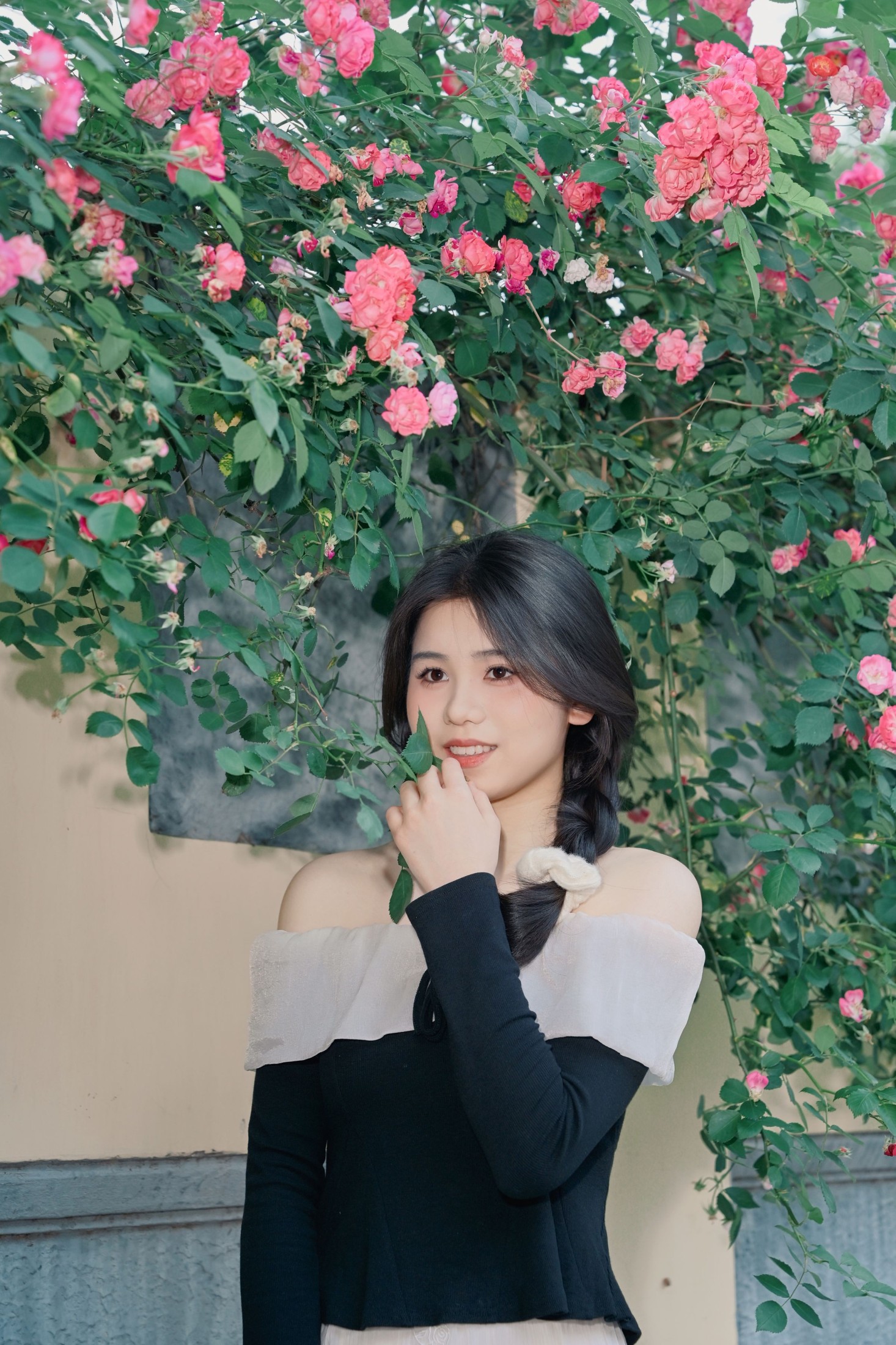 《蔷薇花的花语是什么？》[10P]