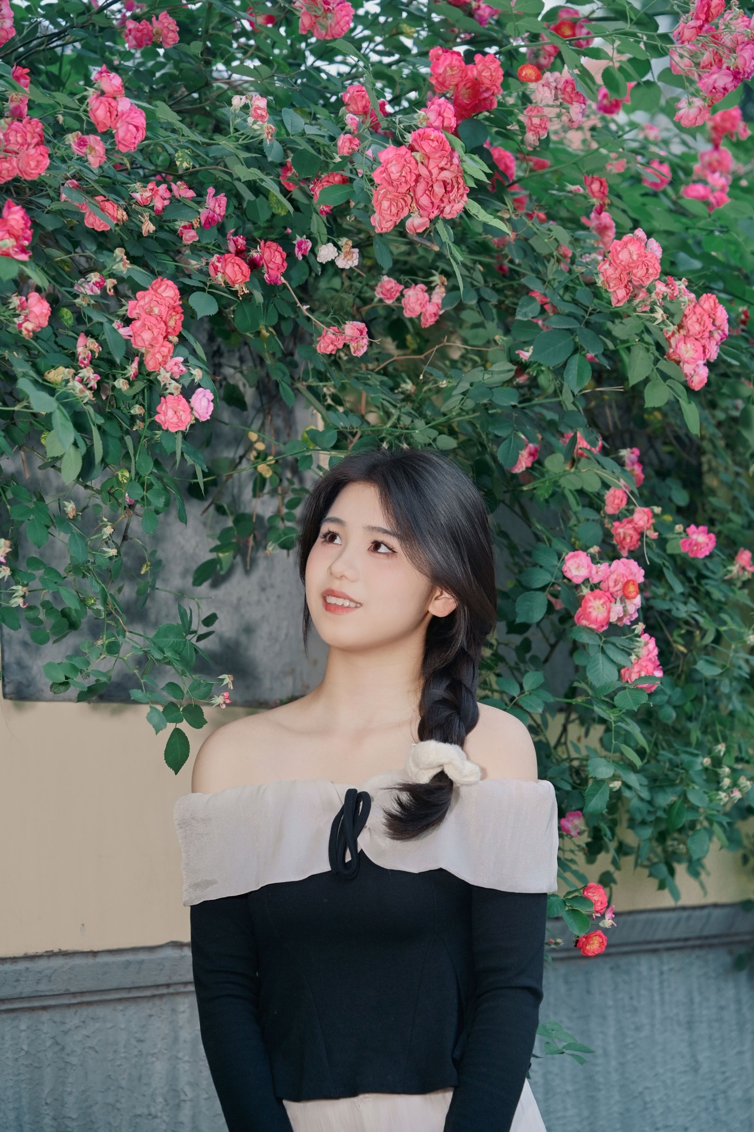 《蔷薇花的花语是什么？》[10P]