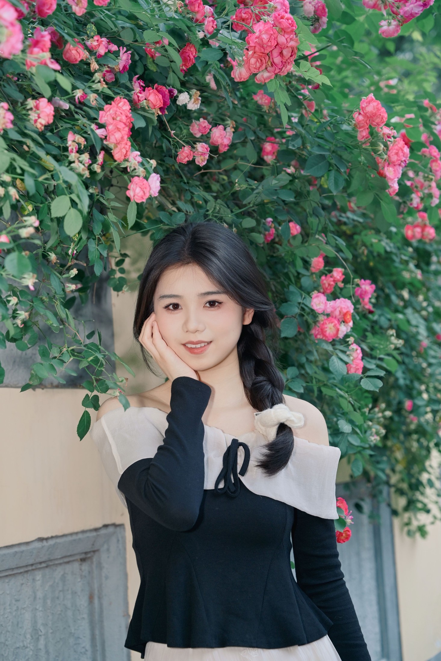 《蔷薇花的花语是什么？》[10P]