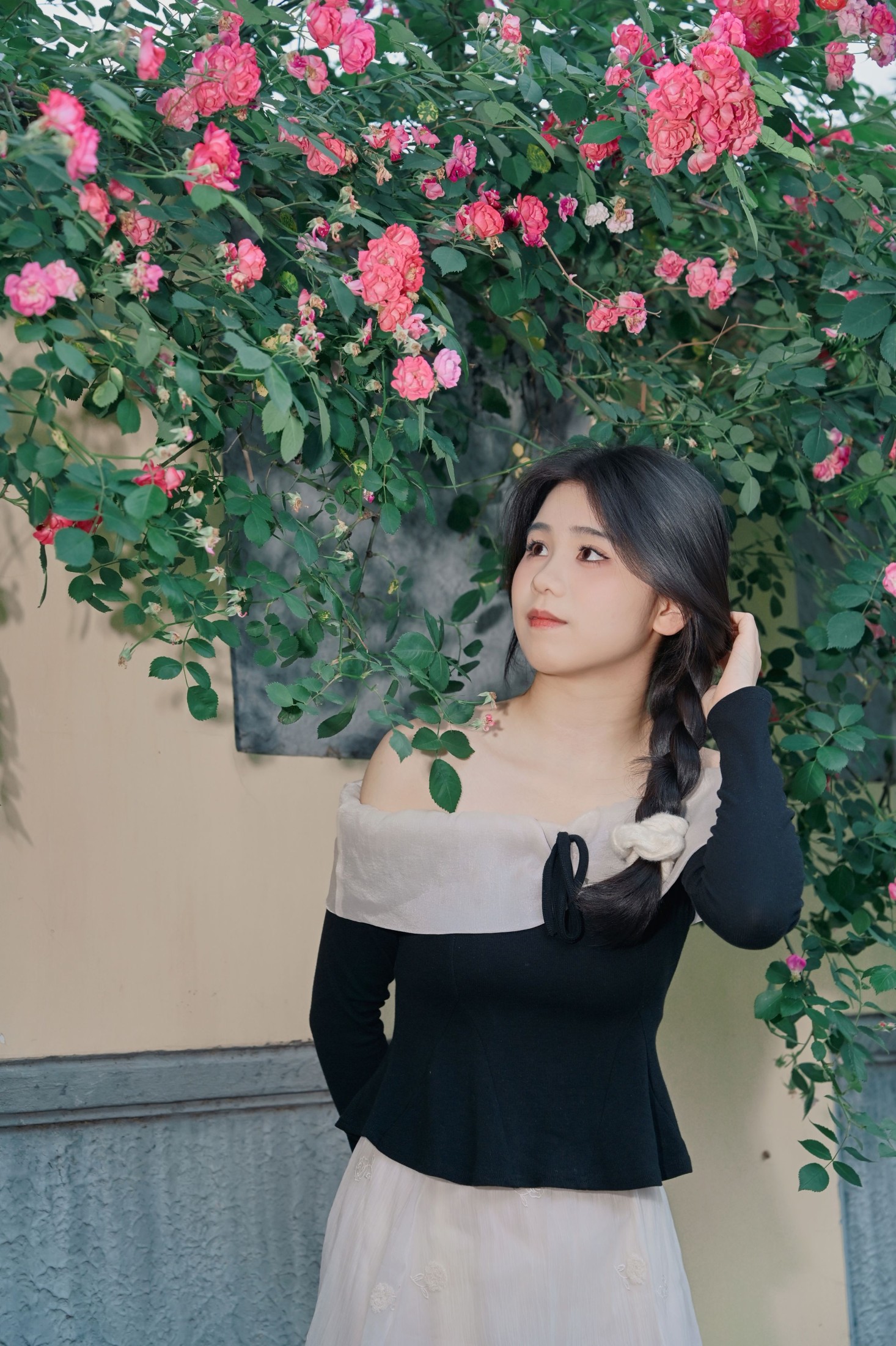 《蔷薇花的花语是什么？》[10P]