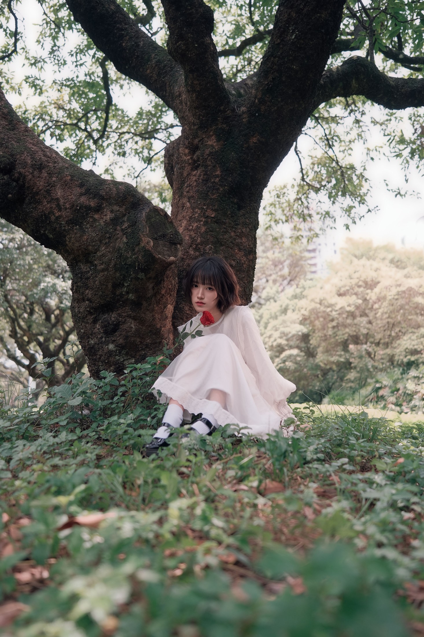 《森系少女 森林守序者》[14P]