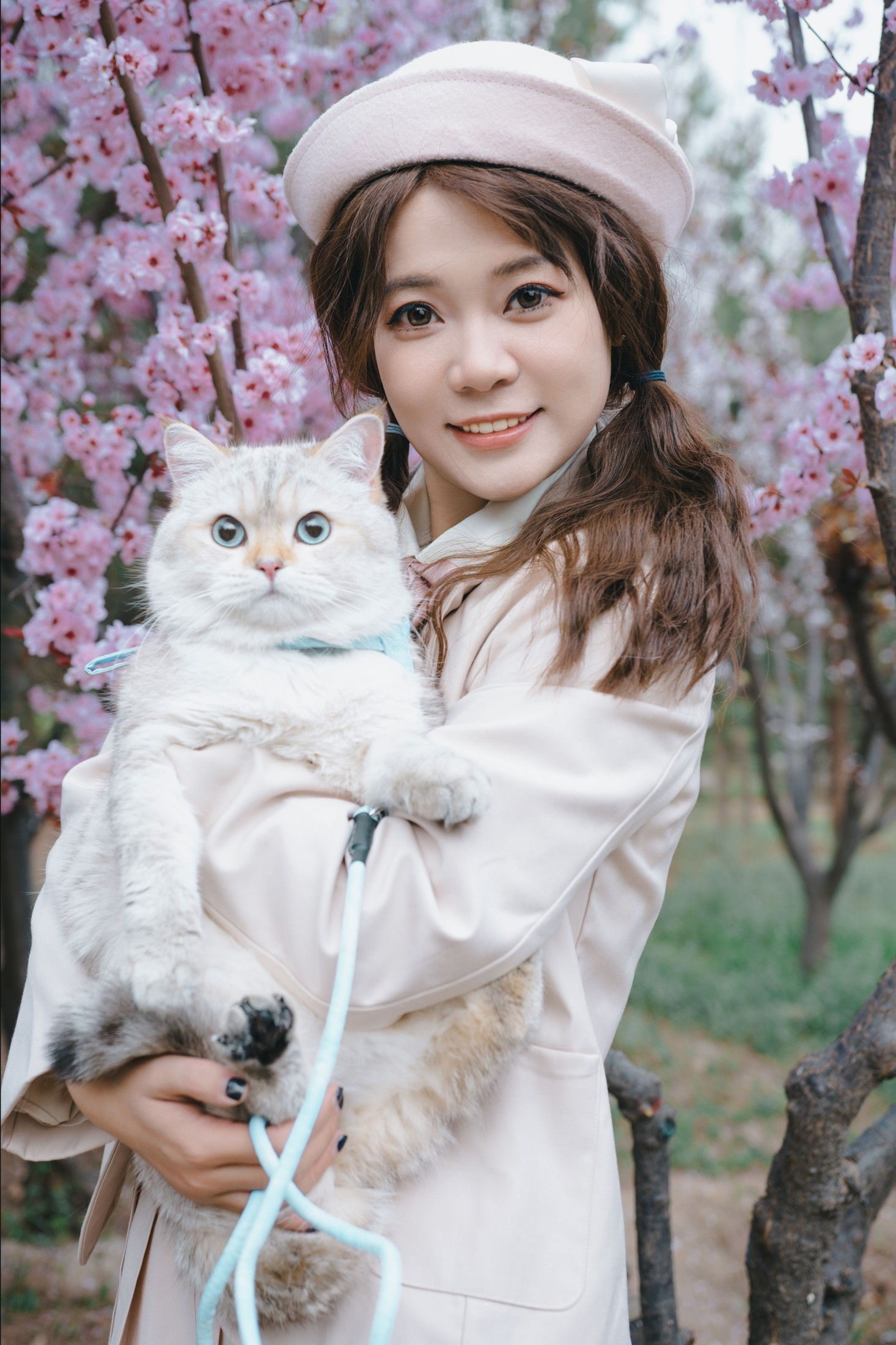 《春日浪漫复兴》[65P]
