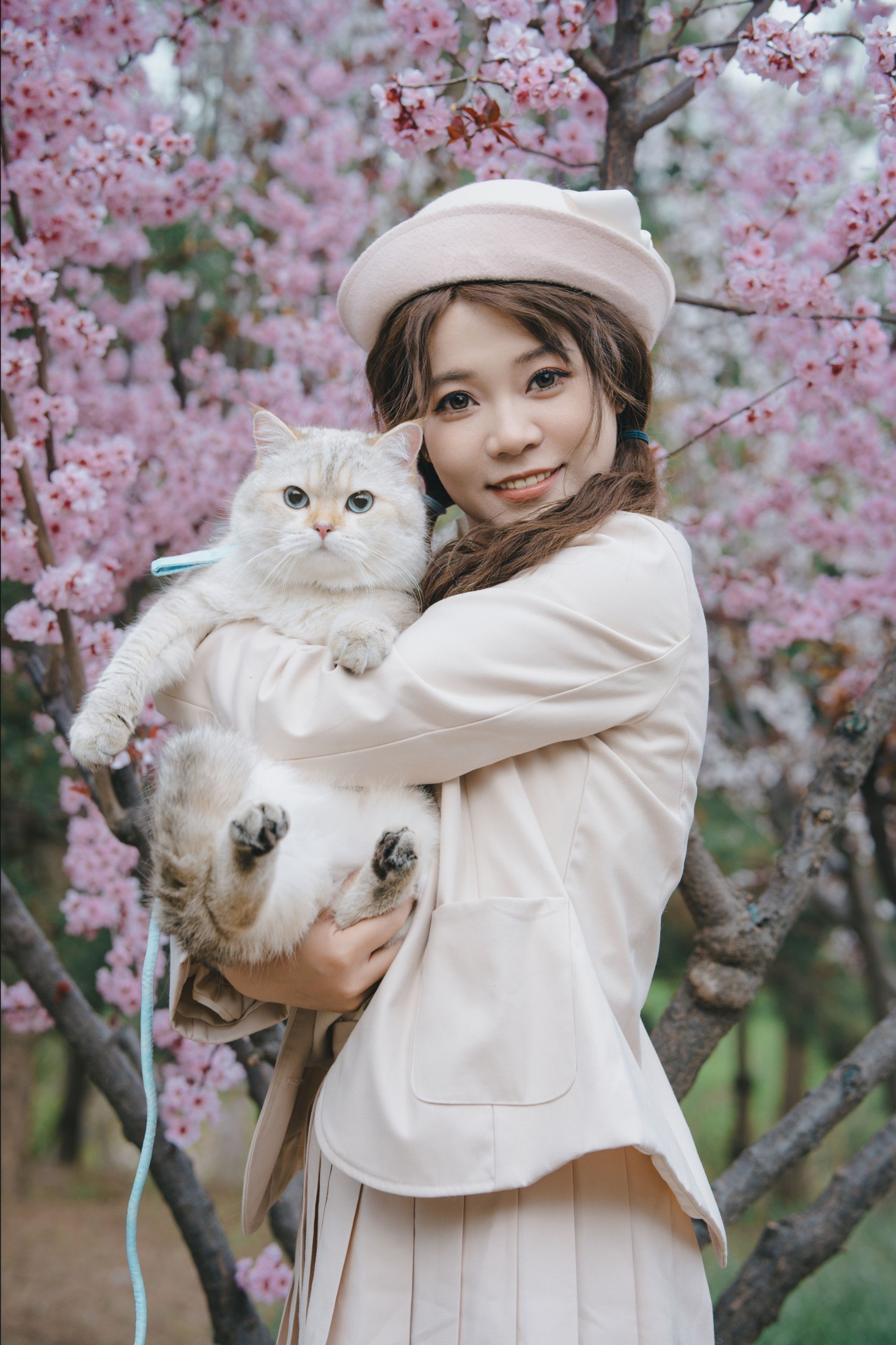 《春日浪漫复兴》[65P]