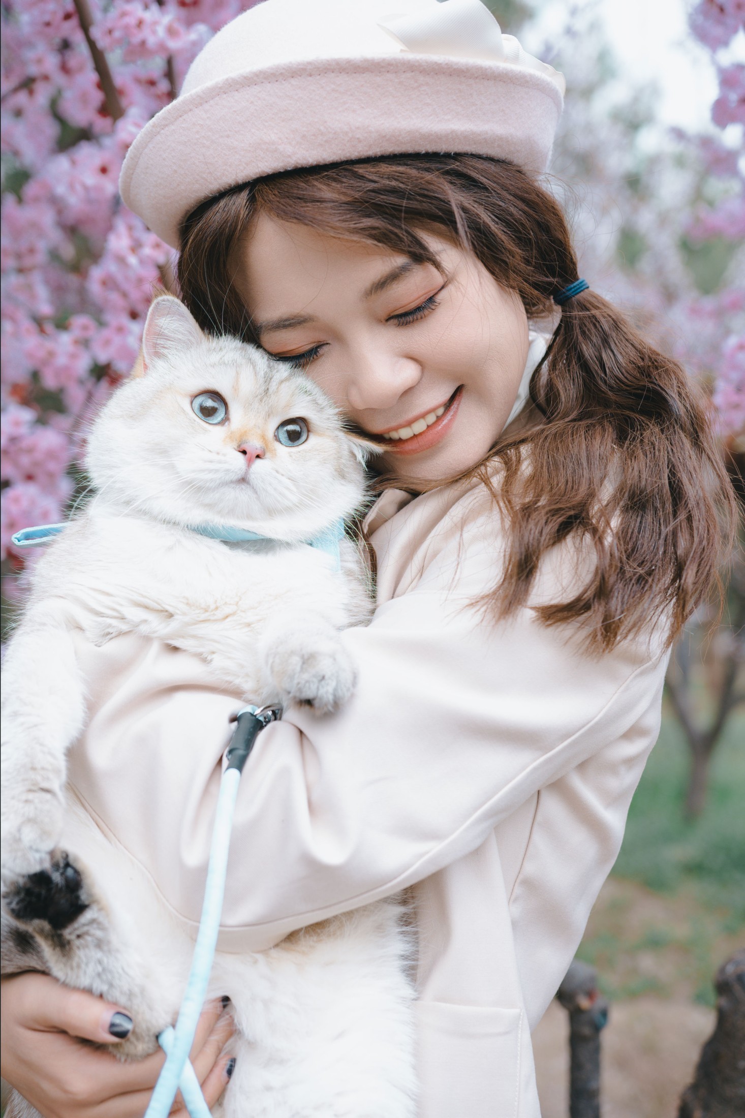 《春日浪漫复兴》[65P]