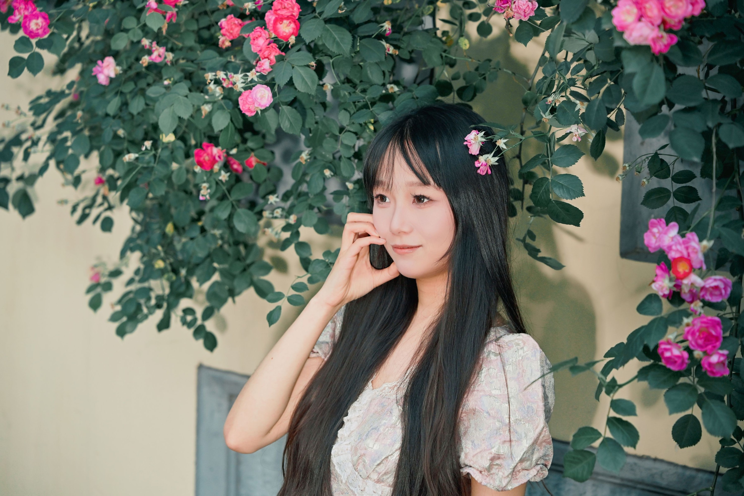 《满屏蔷薇，开满一整个春夏》[10P]