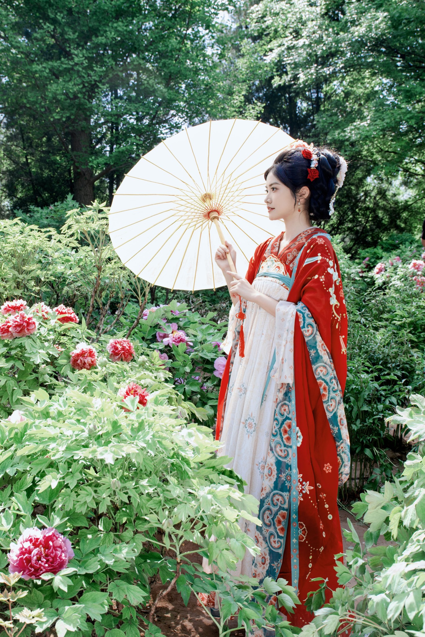 《牡丹开，好运来》[105P]
