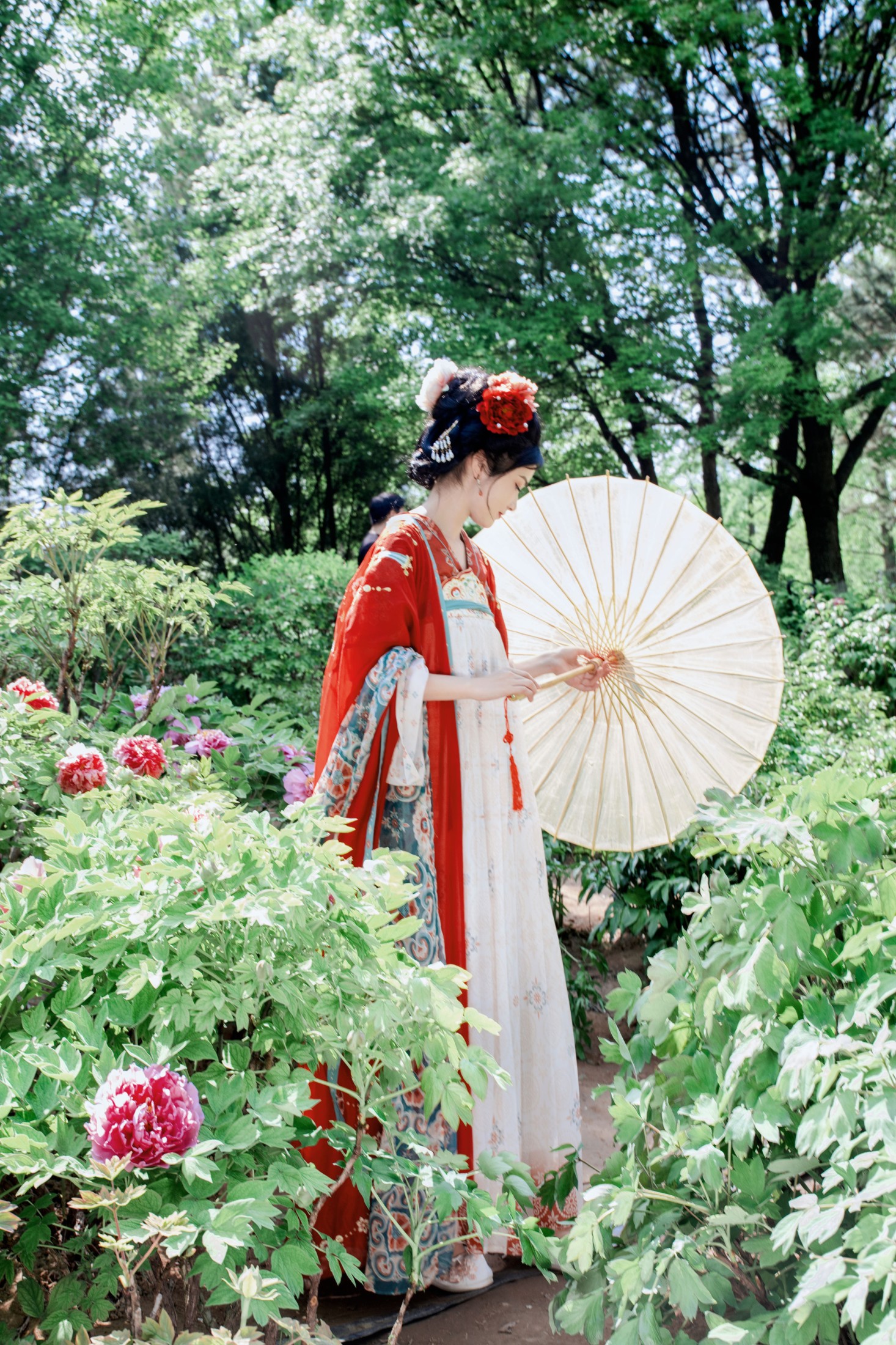 《牡丹开，好运来》[105P]
