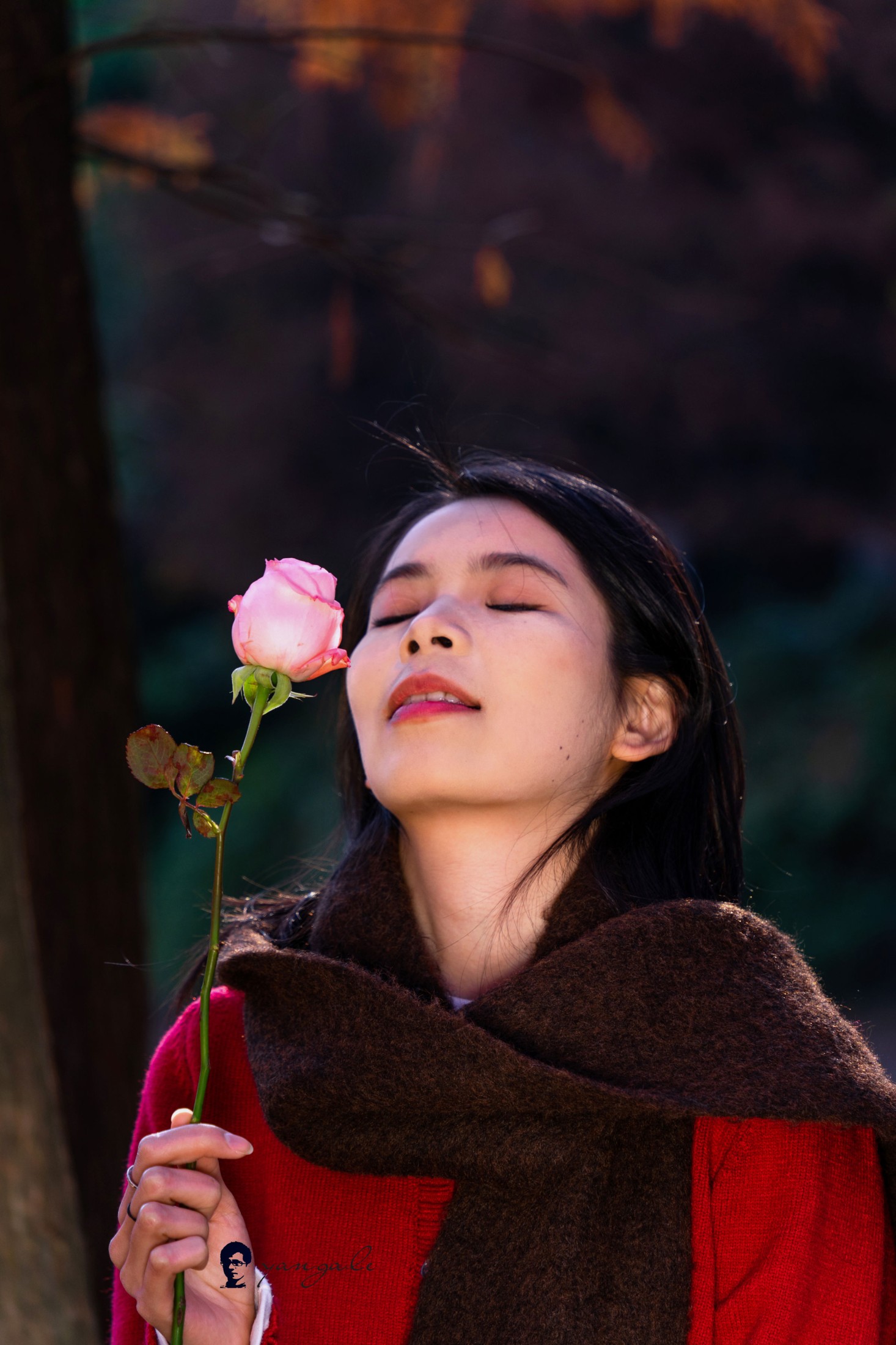 《秋林玫瑰》[9P]