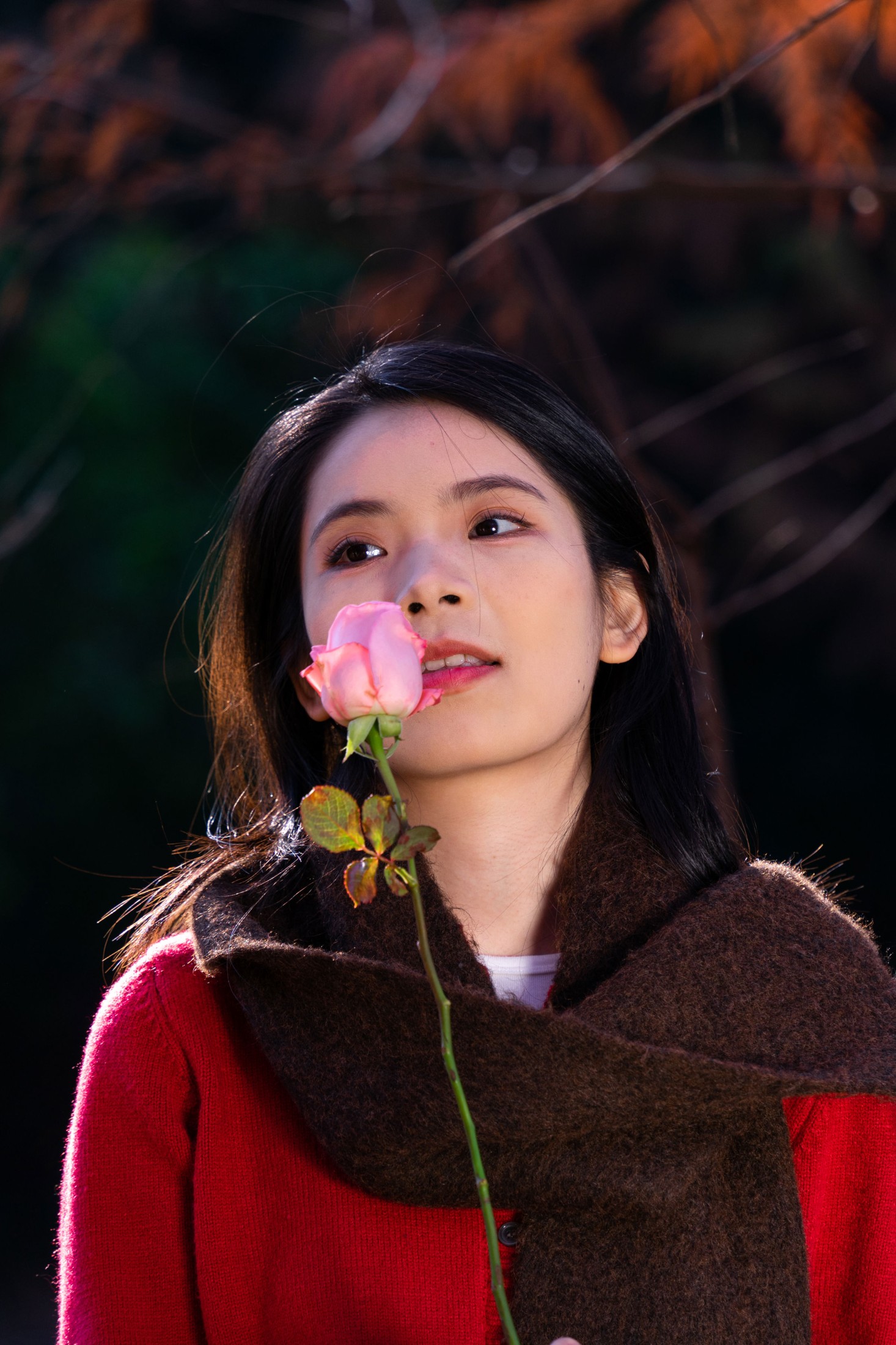 《秋林玫瑰》[9P]