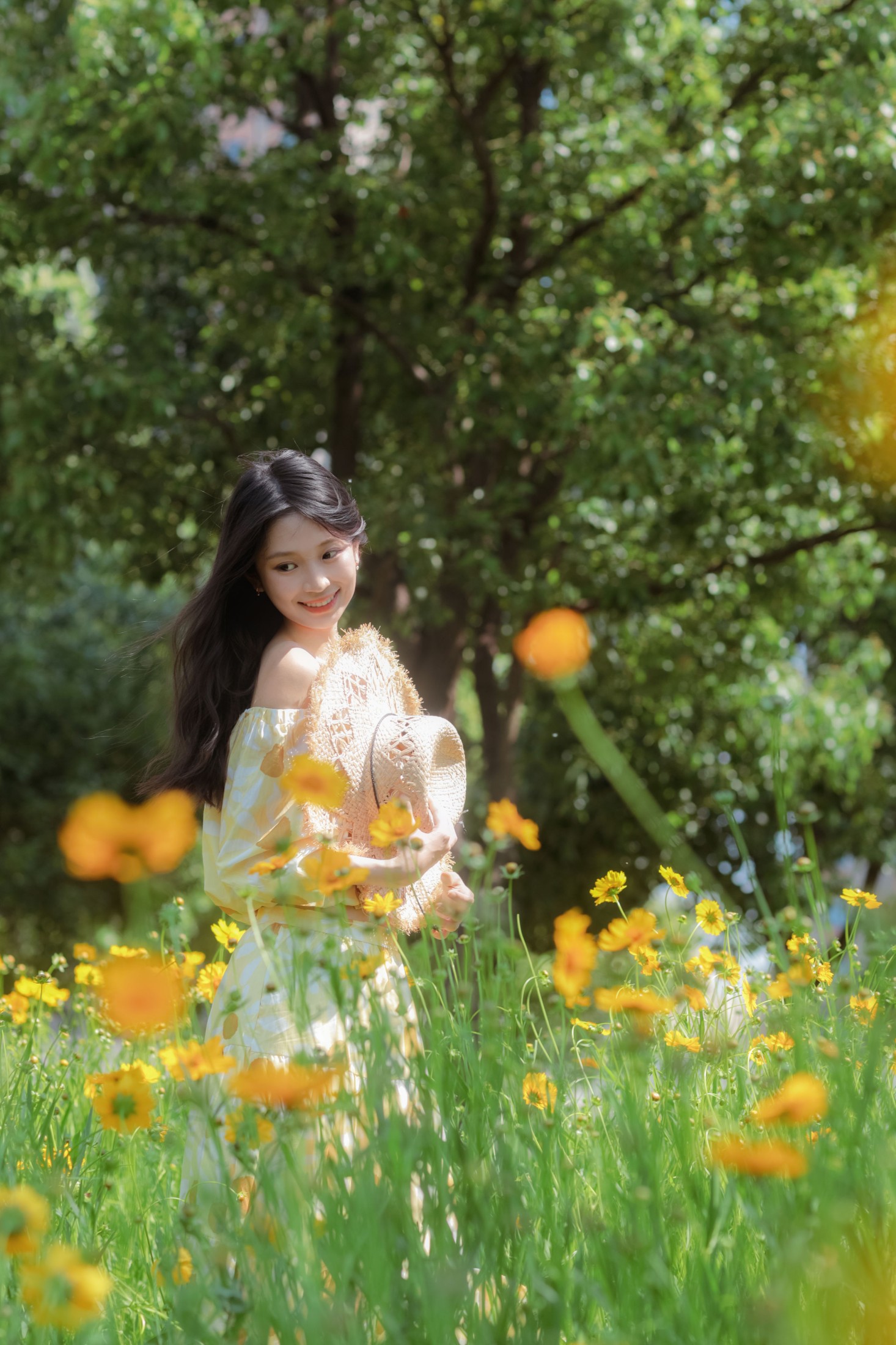 《夏日小黄花》[27P]