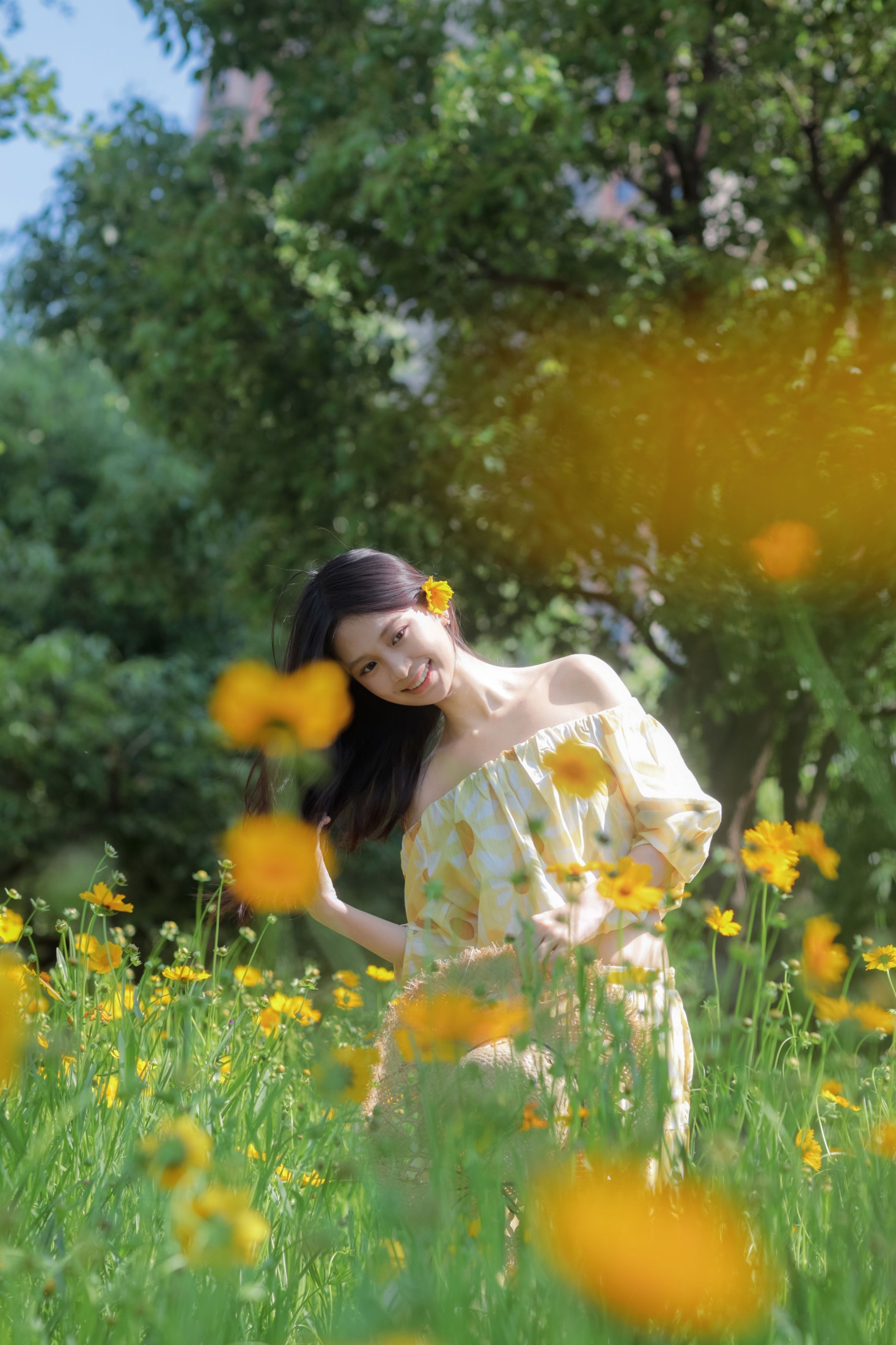 《夏日小黄花》[27P]