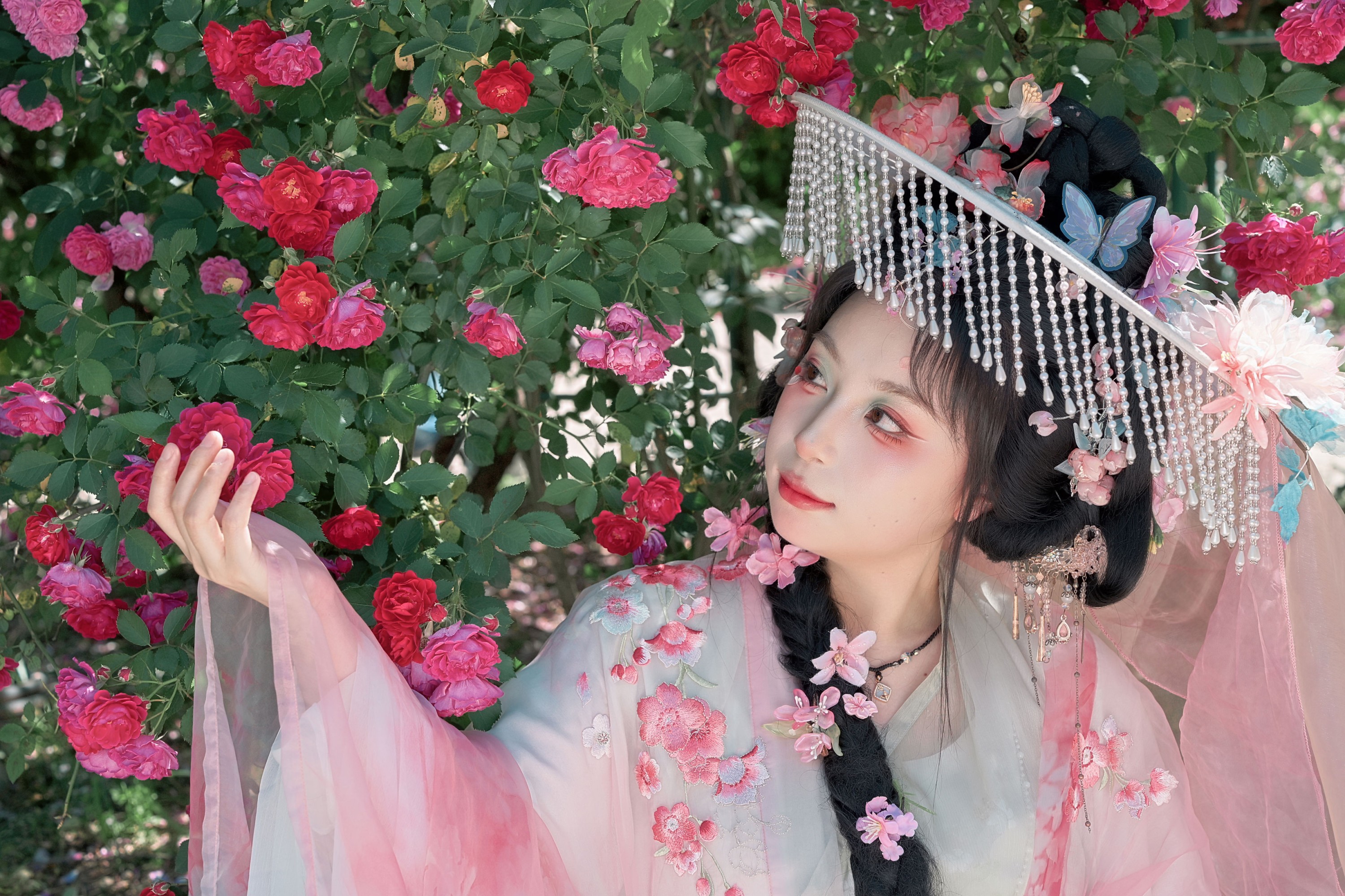 《一头扎进蔷薇花里》[21P]