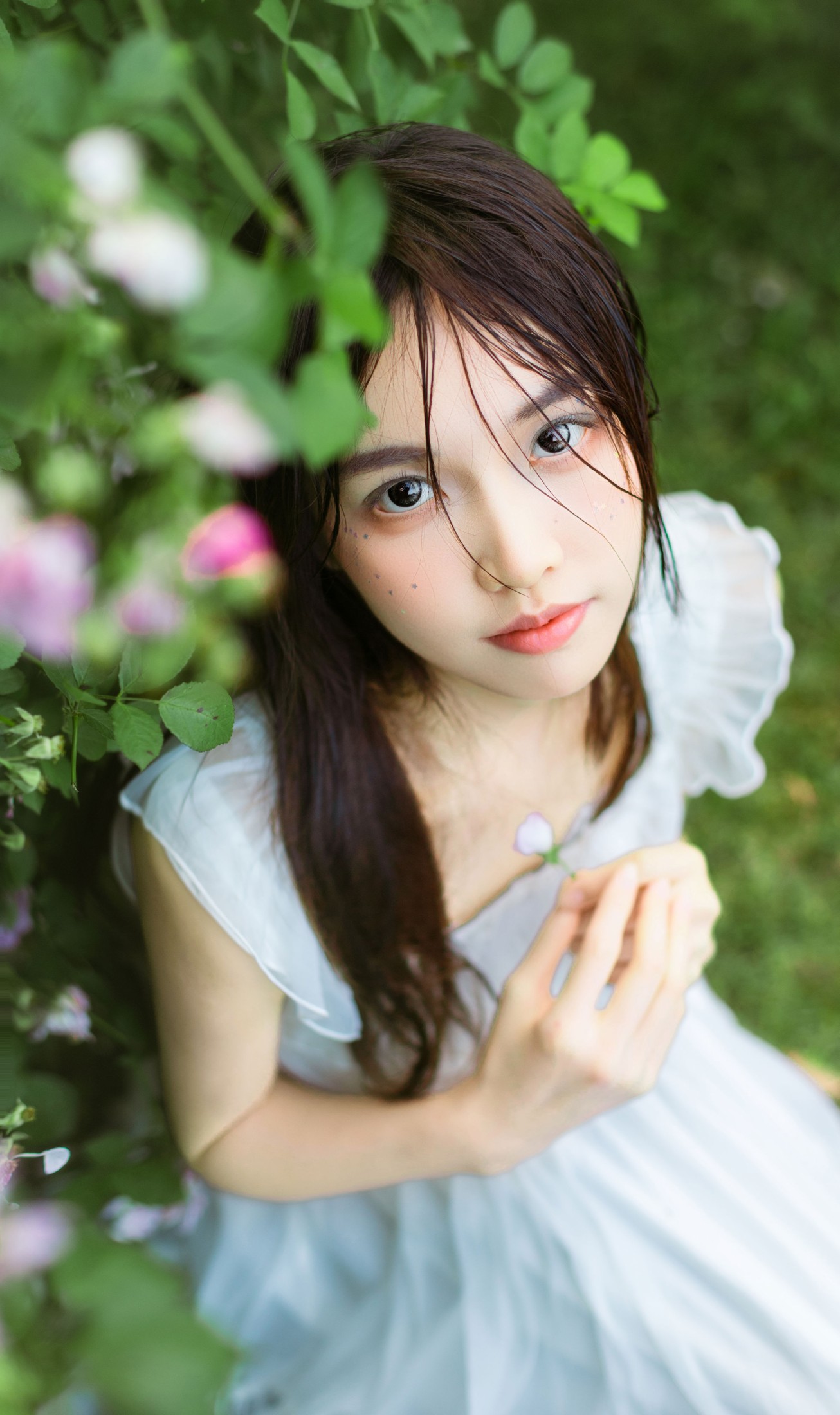 《花与少女》[16P]