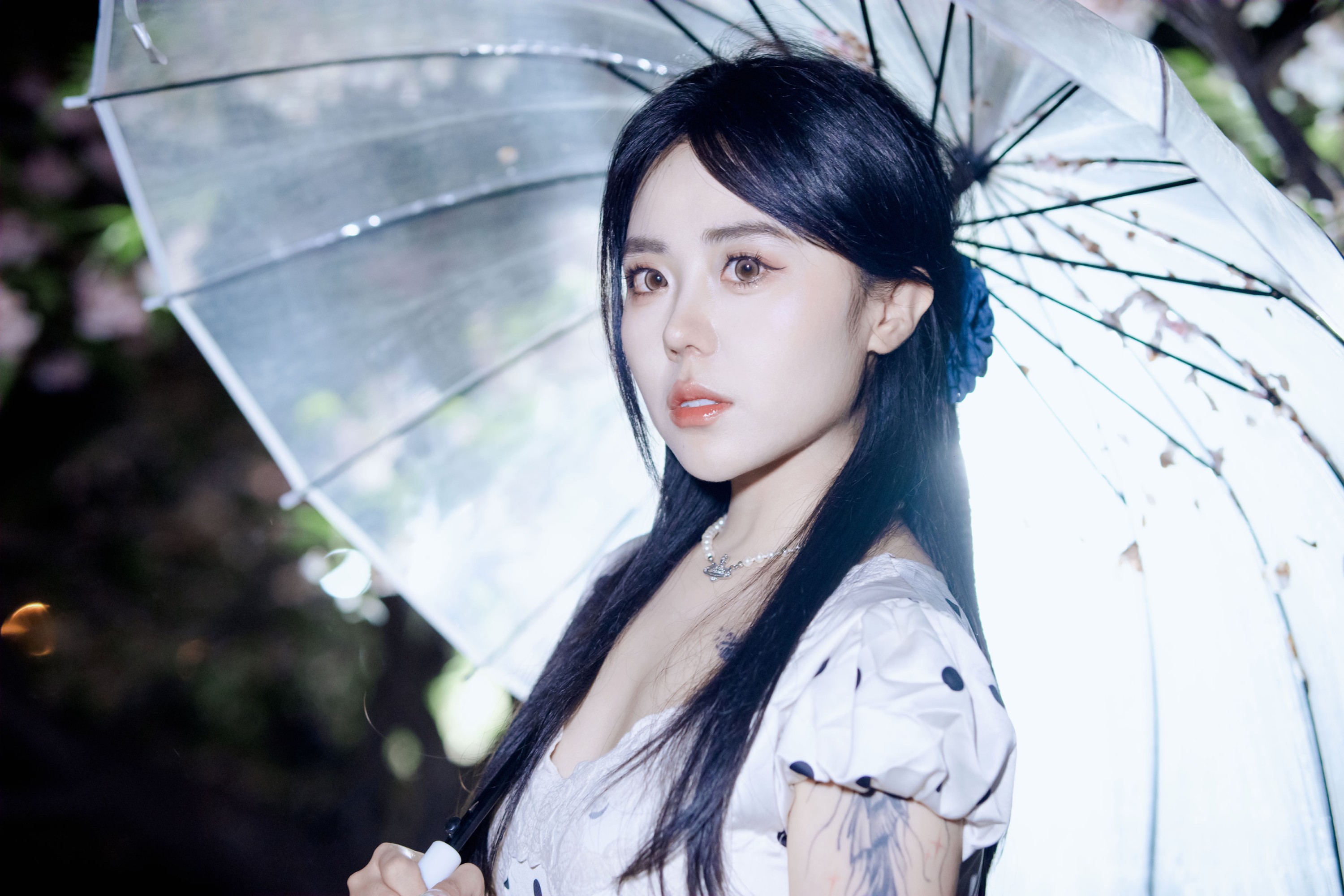 《夜樱》[31P]