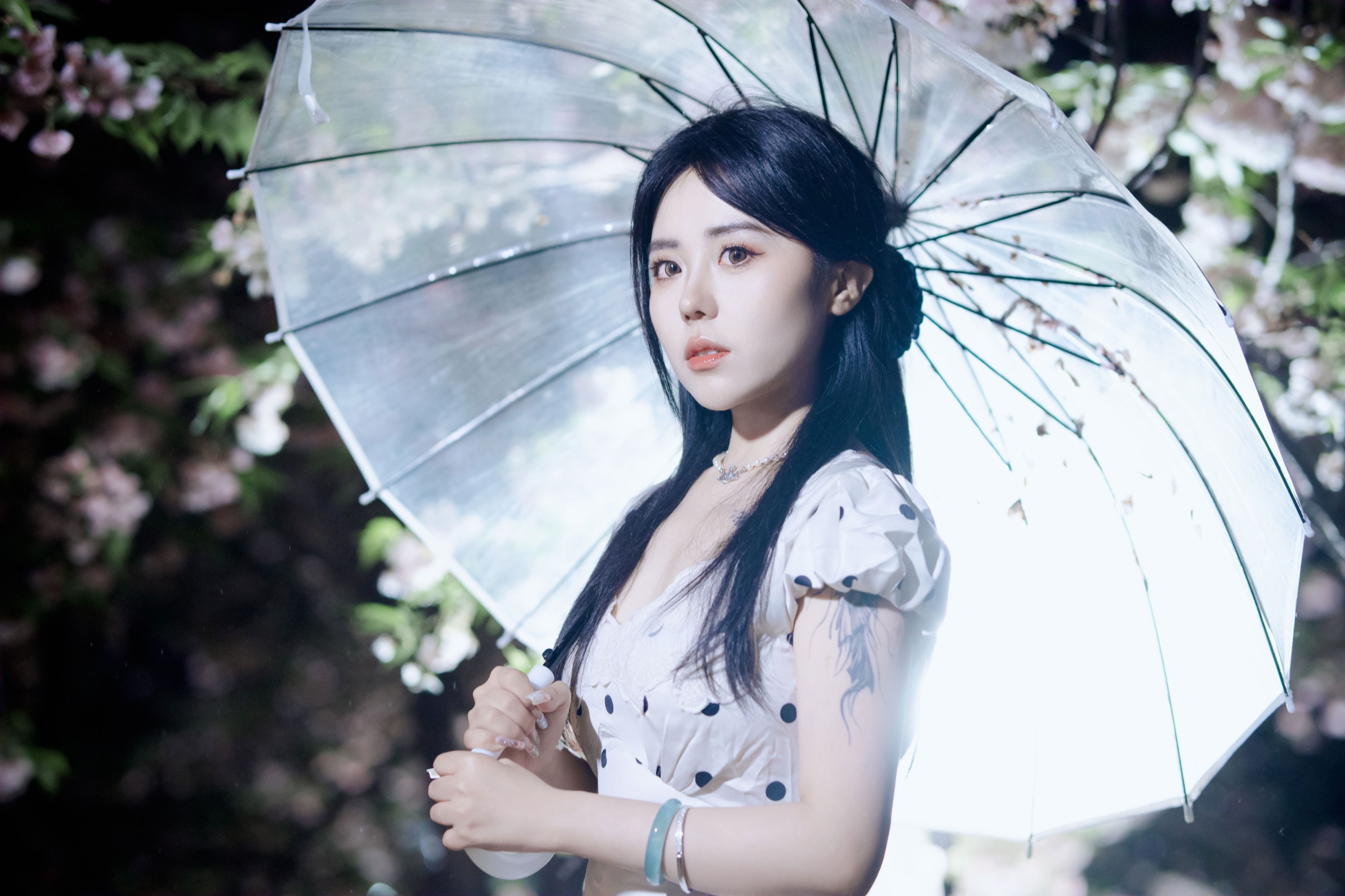《夜樱》[31P]