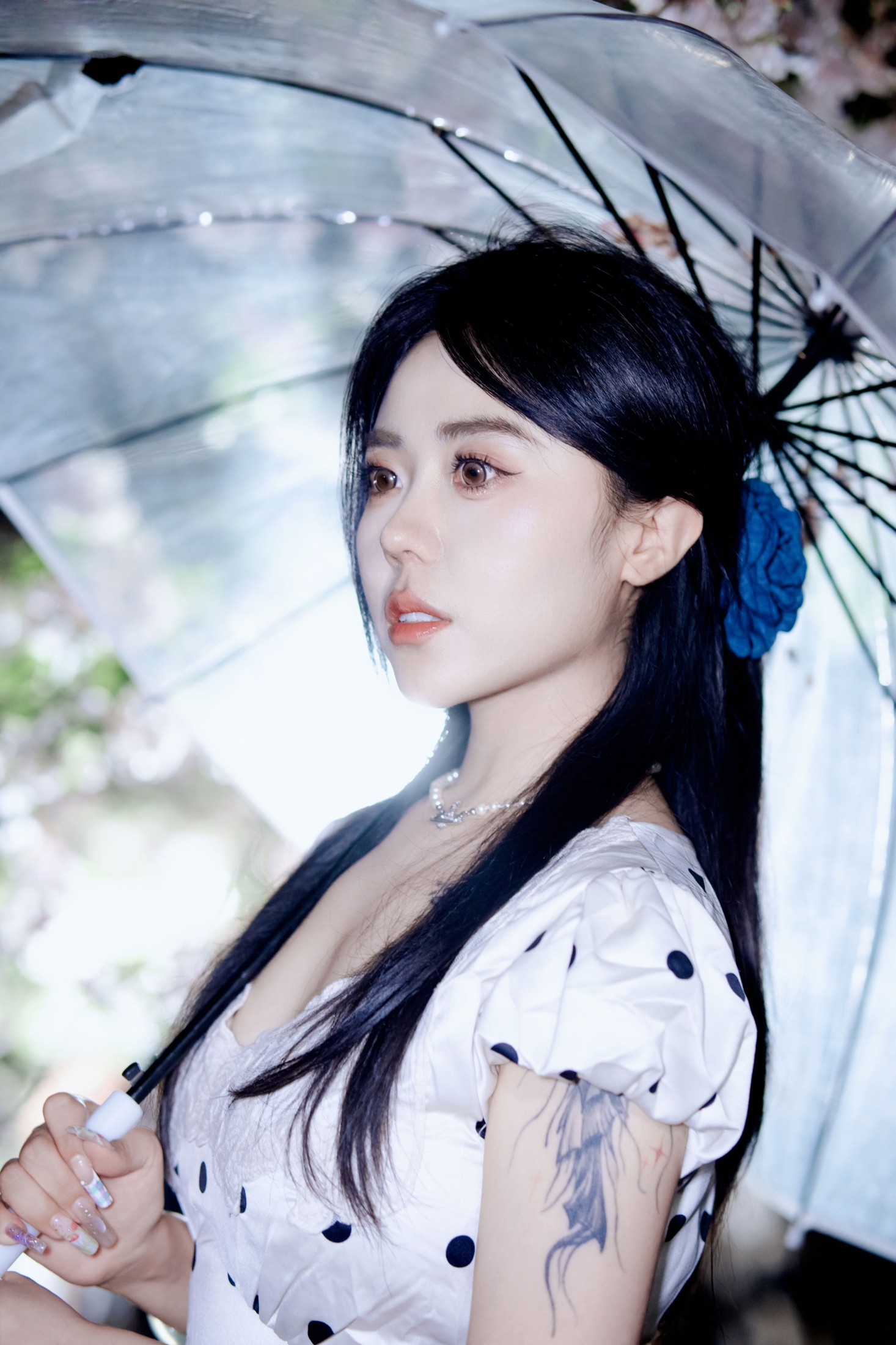 《夜樱》[31P]
