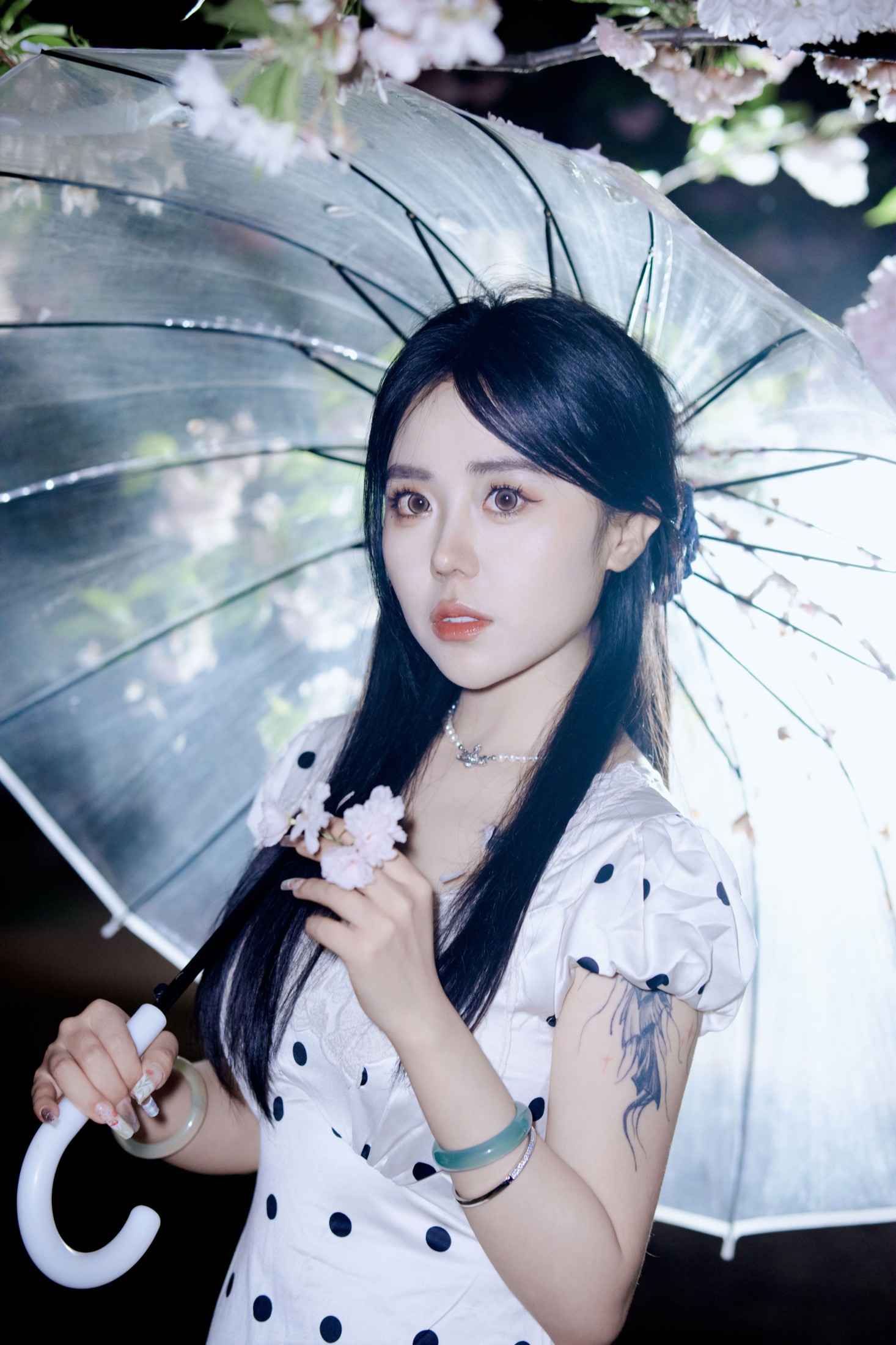 《夜樱》[31P]
