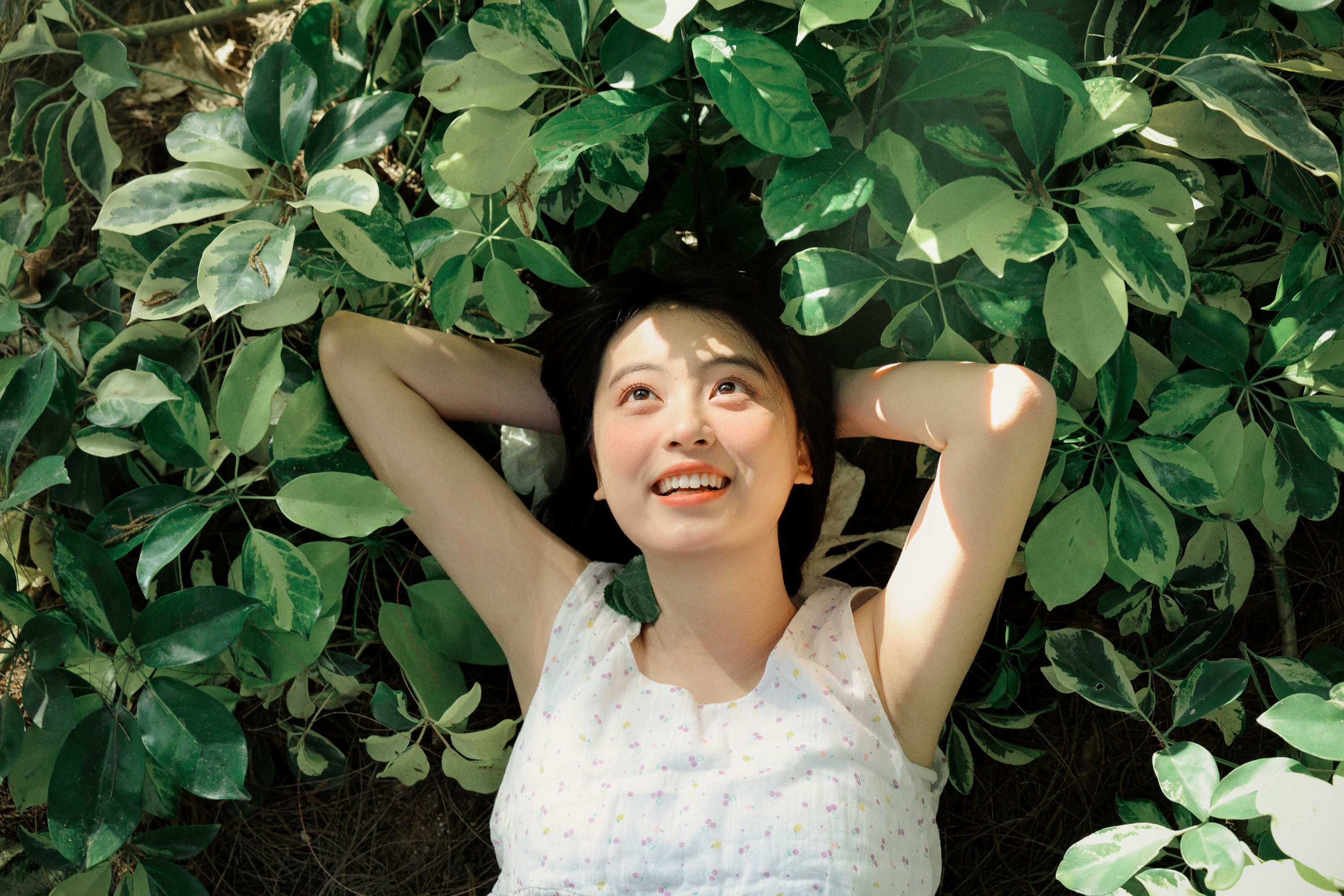 《想去海边》[24P]