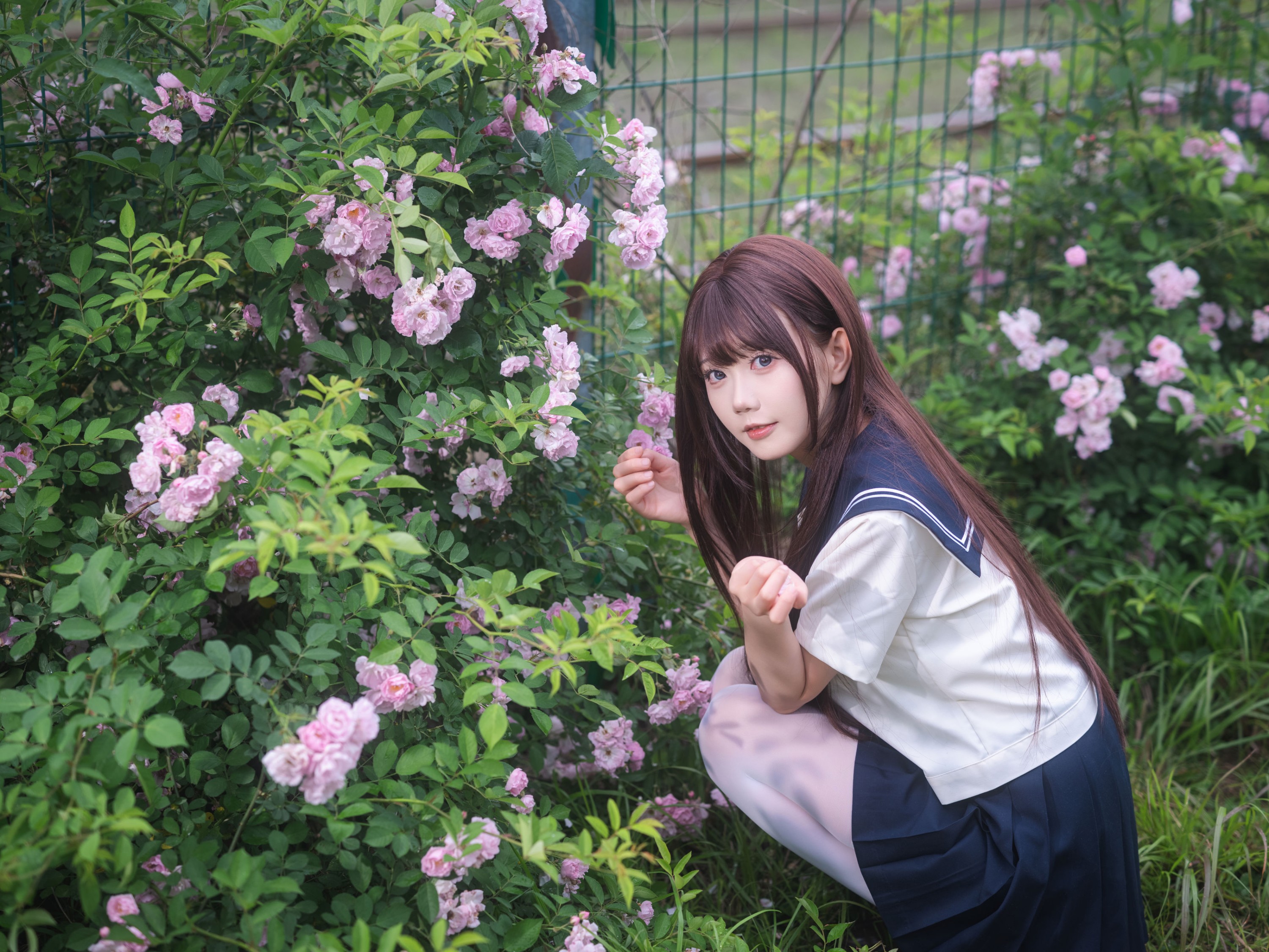 《蔷薇花JK》[27P]