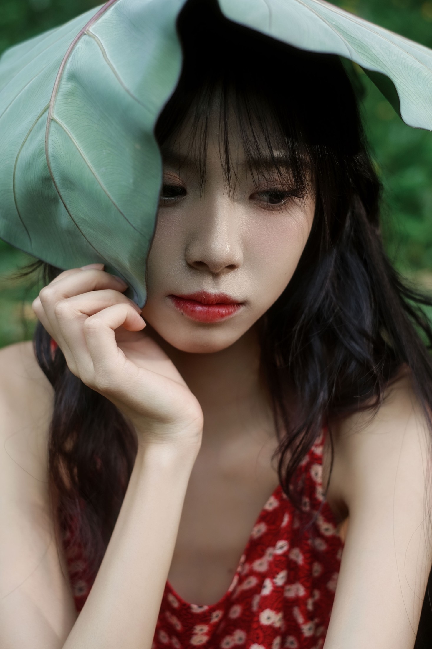 《总偏爱雨后山林独有的静谧绿意》[24P]