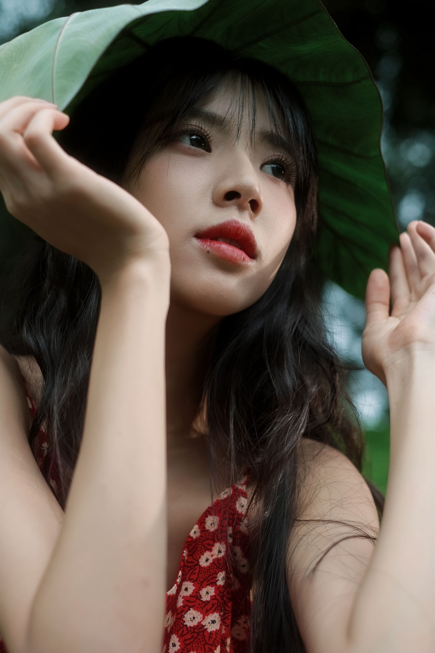 《总偏爱雨后山林独有的静谧绿意》[24P]