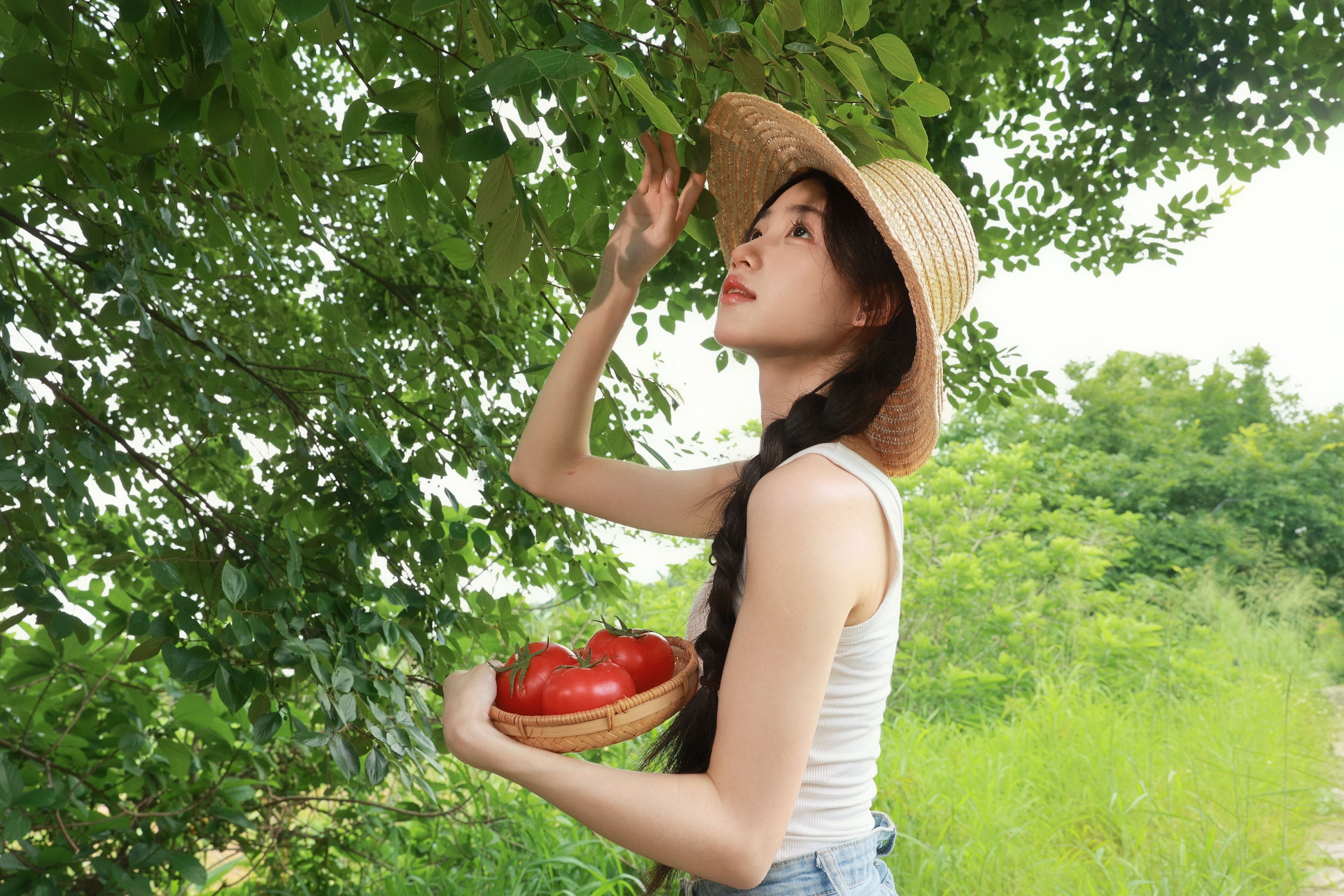《山野晚风，温柔一夏》[16P]