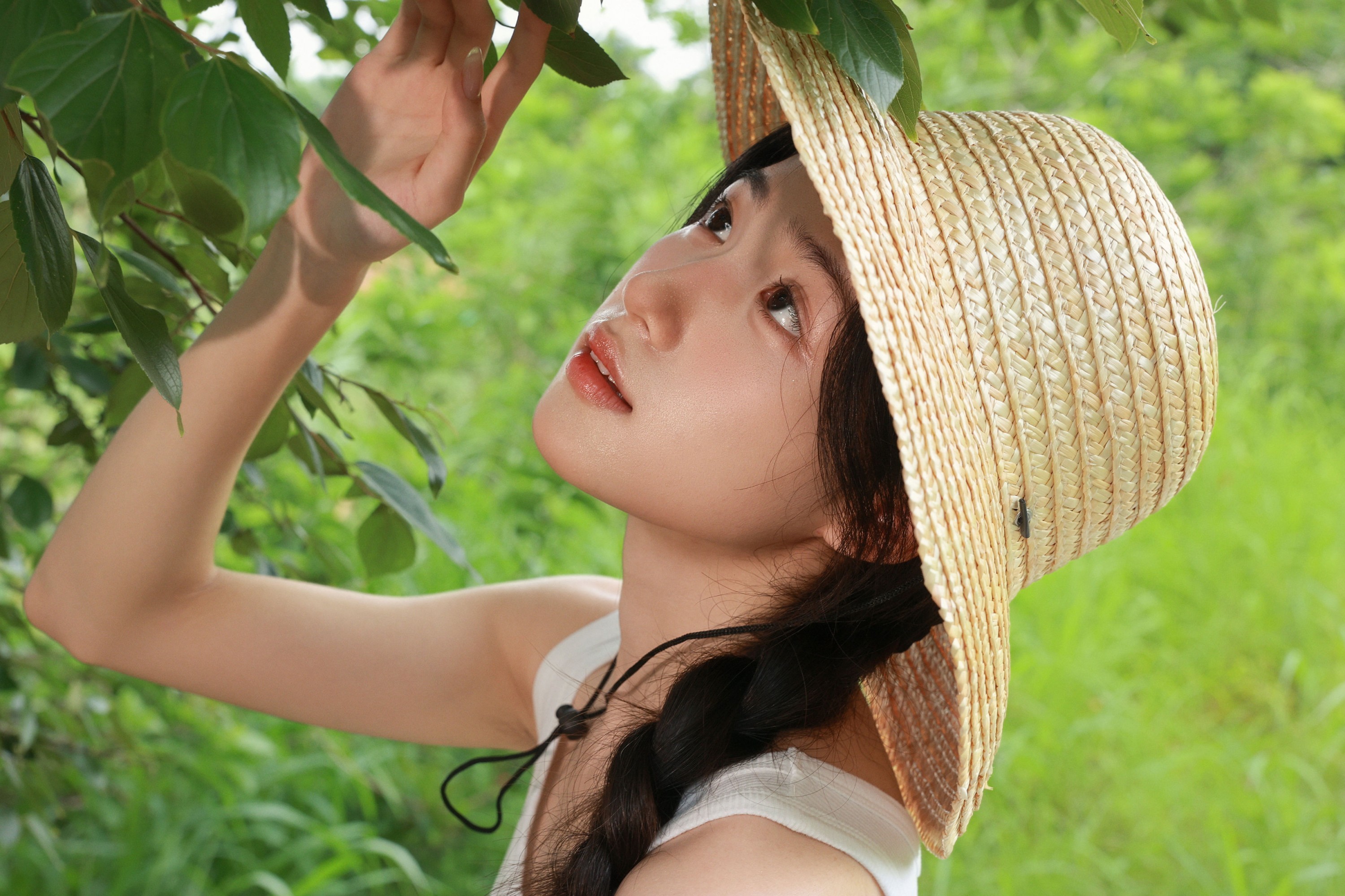 《山野晚风，温柔一夏》[16P]