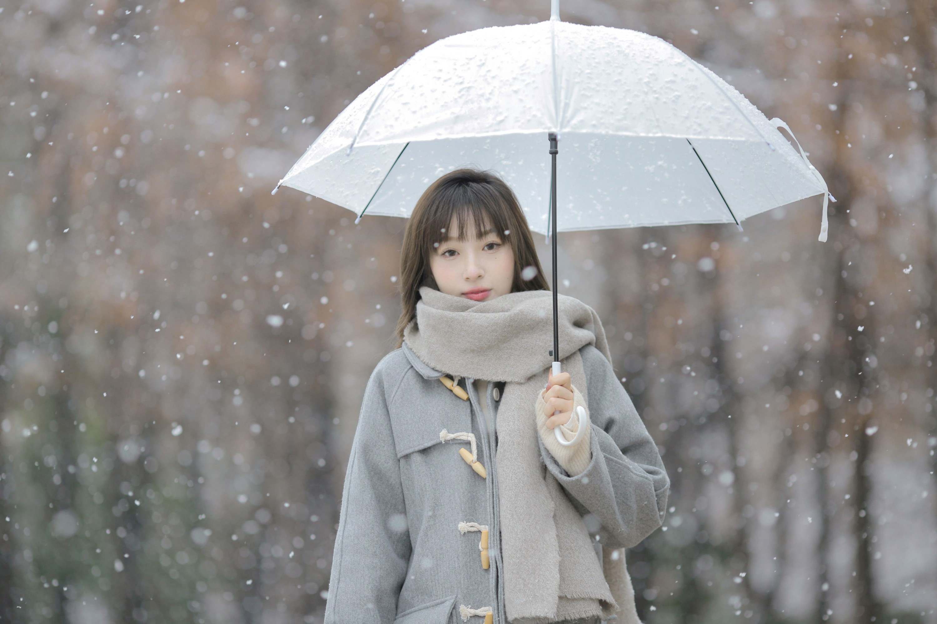 《冬日之雪》[9P]