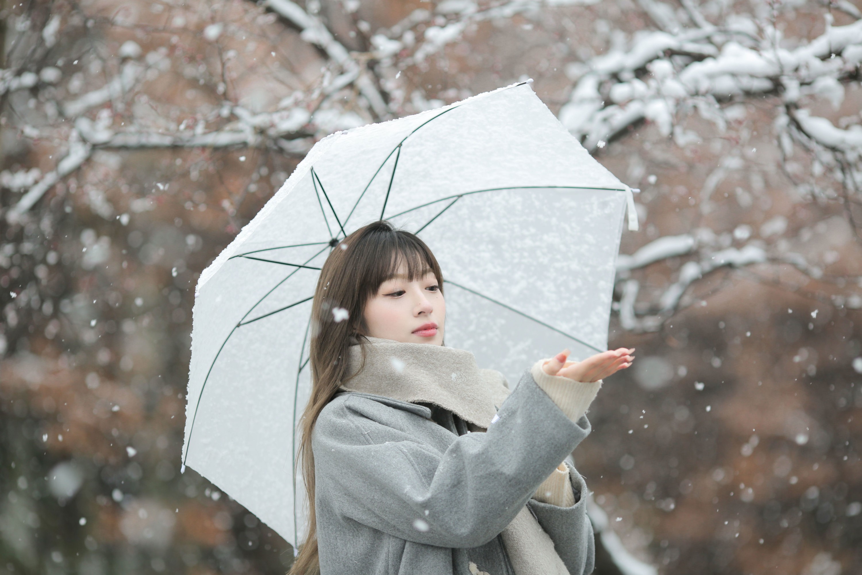 《冬日之雪》[9P]
