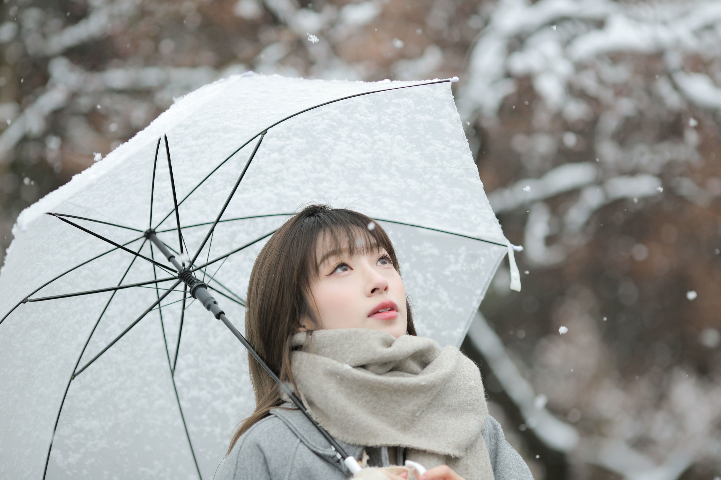 《冬日之雪》[9P]