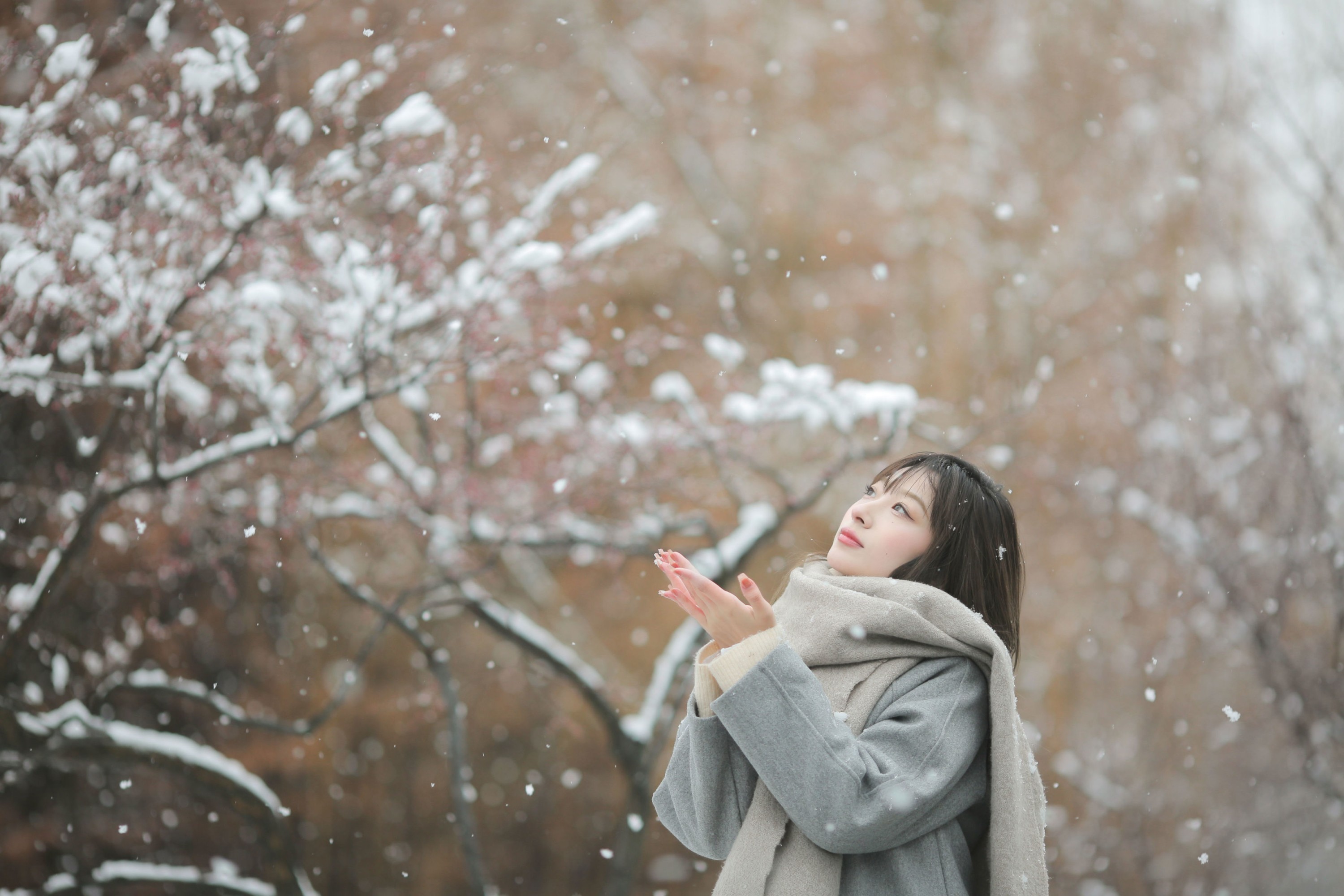 《冬日之雪》[9P]