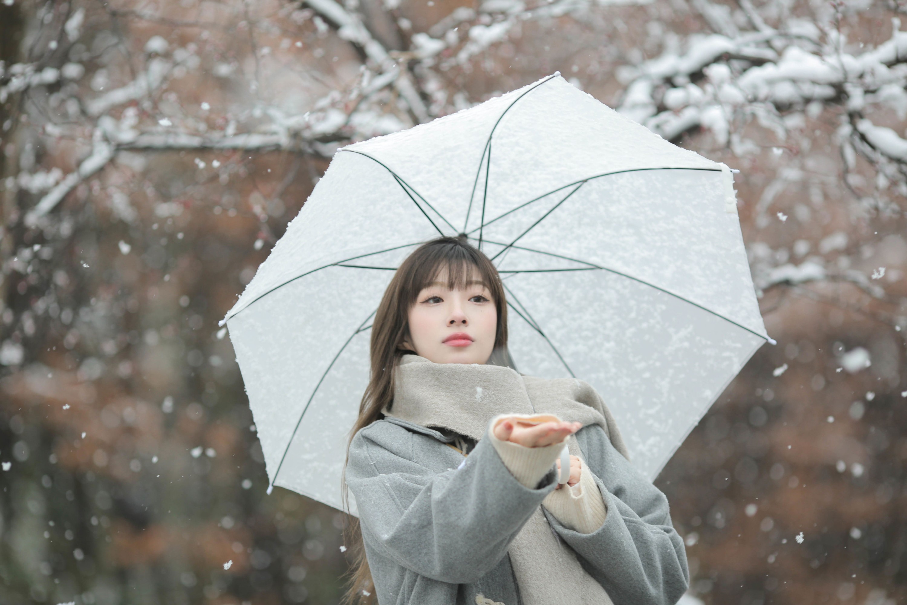 《冬日之雪》[9P]