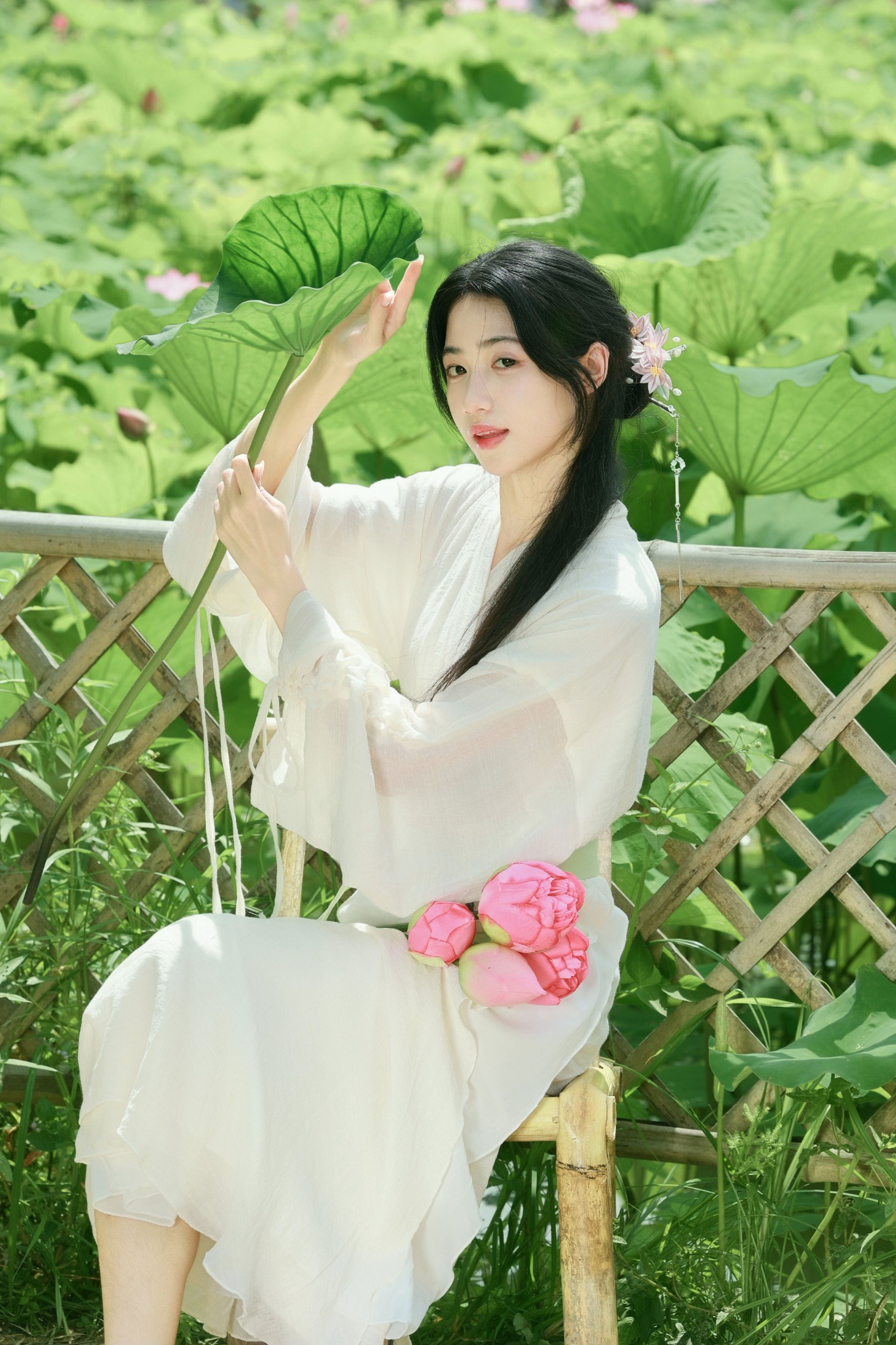 《荷风入夏｜误入一池江南诗意》[14P]
