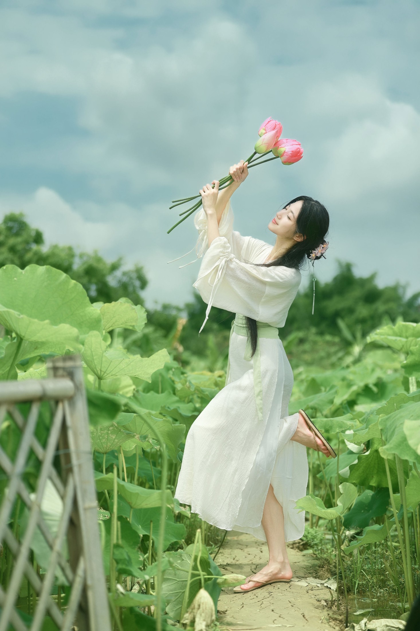 《荷风入夏｜误入一池江南诗意》[14P]